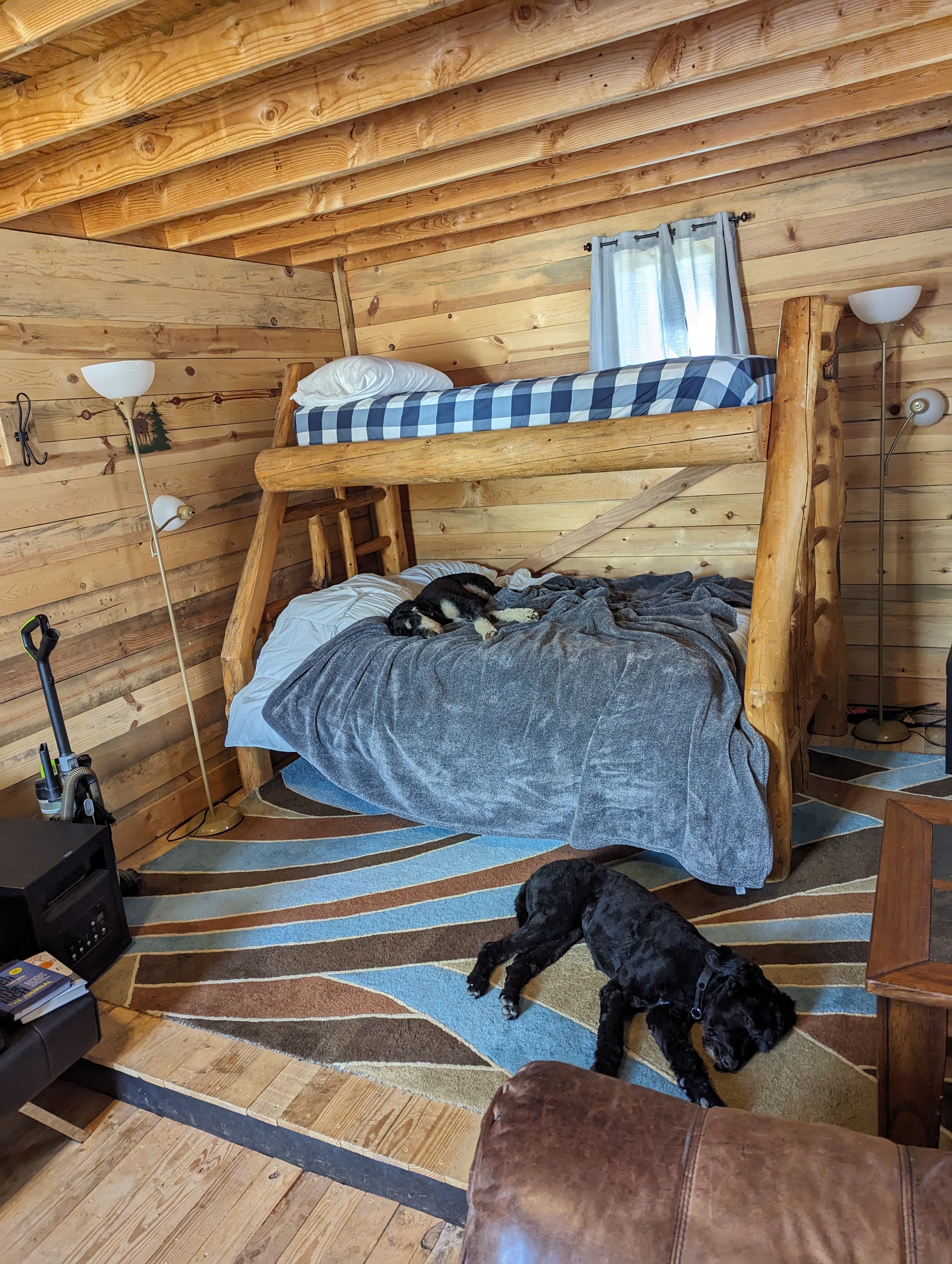 My dogs found it very comfortable too 🙂