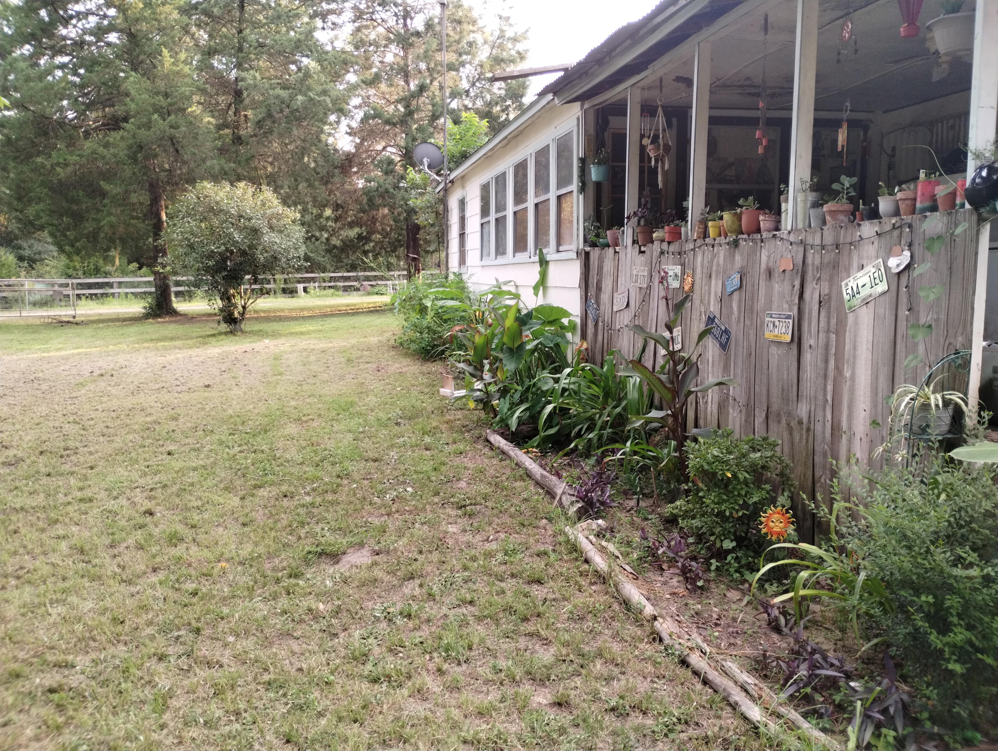 The Hammock Under the Oaks
