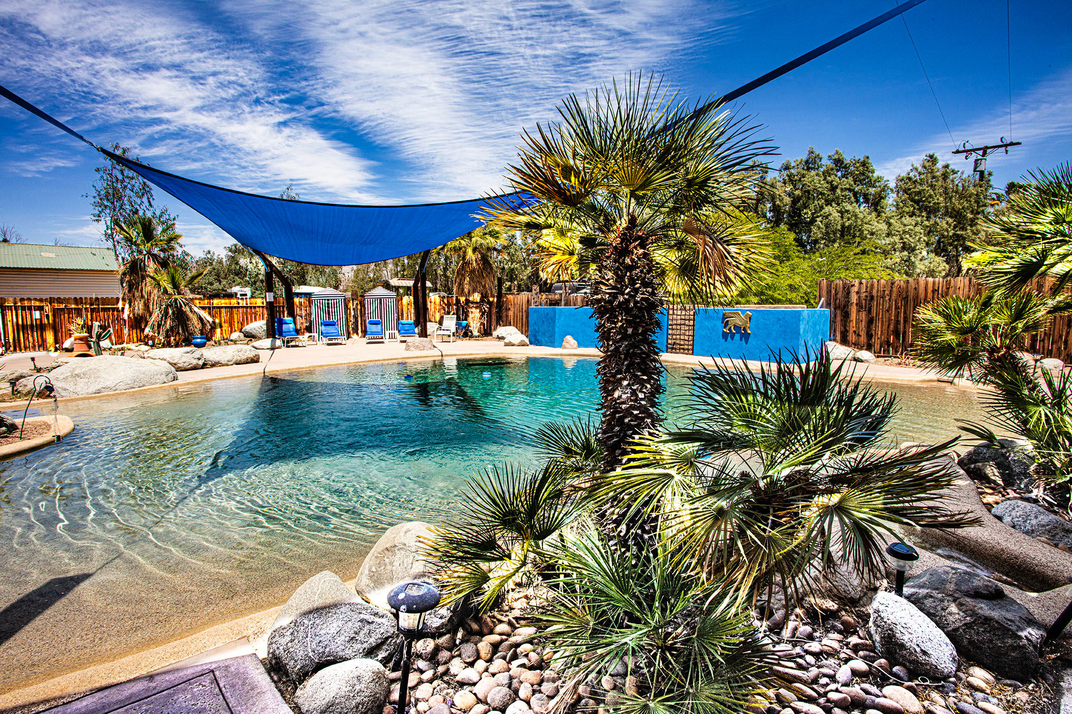 DragonflyHill Desert Farm