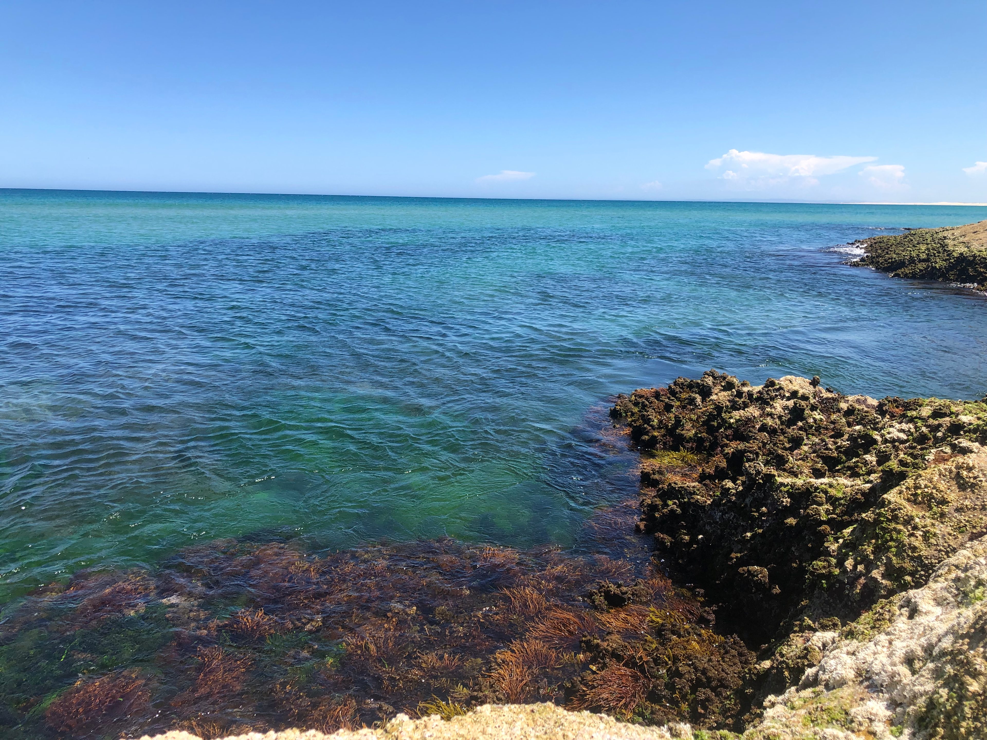 Iggys Haven @ Anna Bay