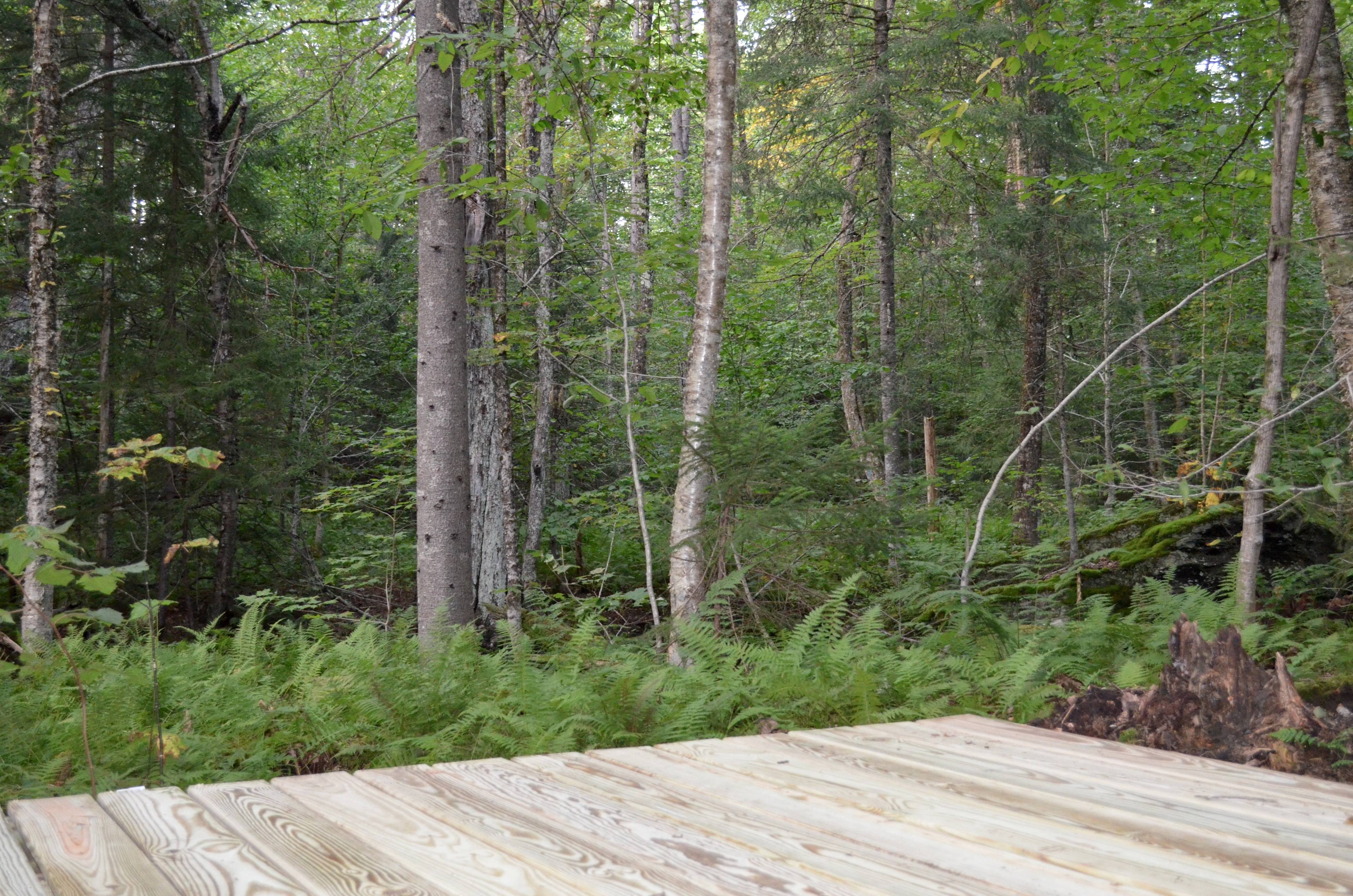 10x12 tent platform. Bring tent :)