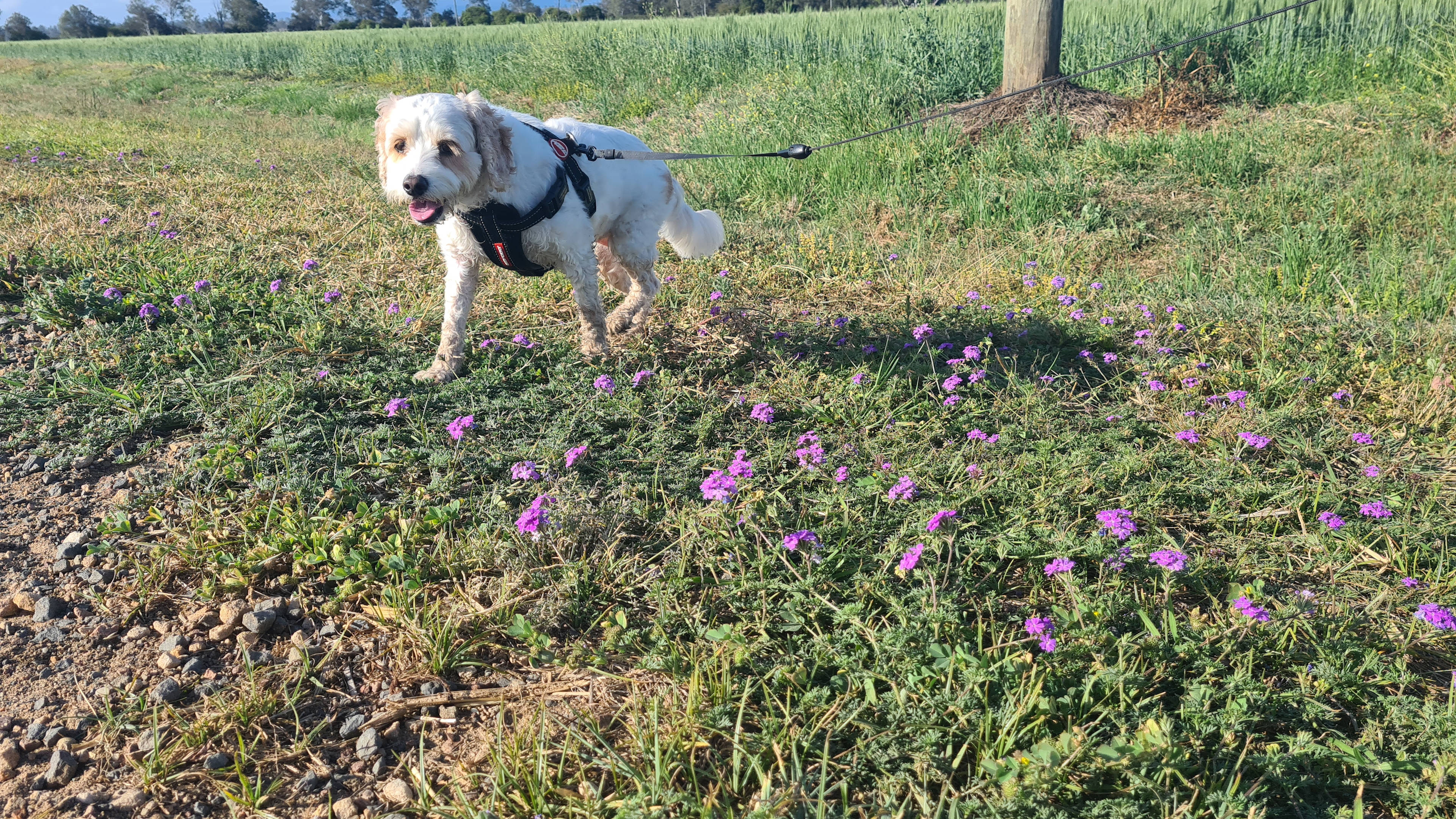 Clancy's on Clarendon