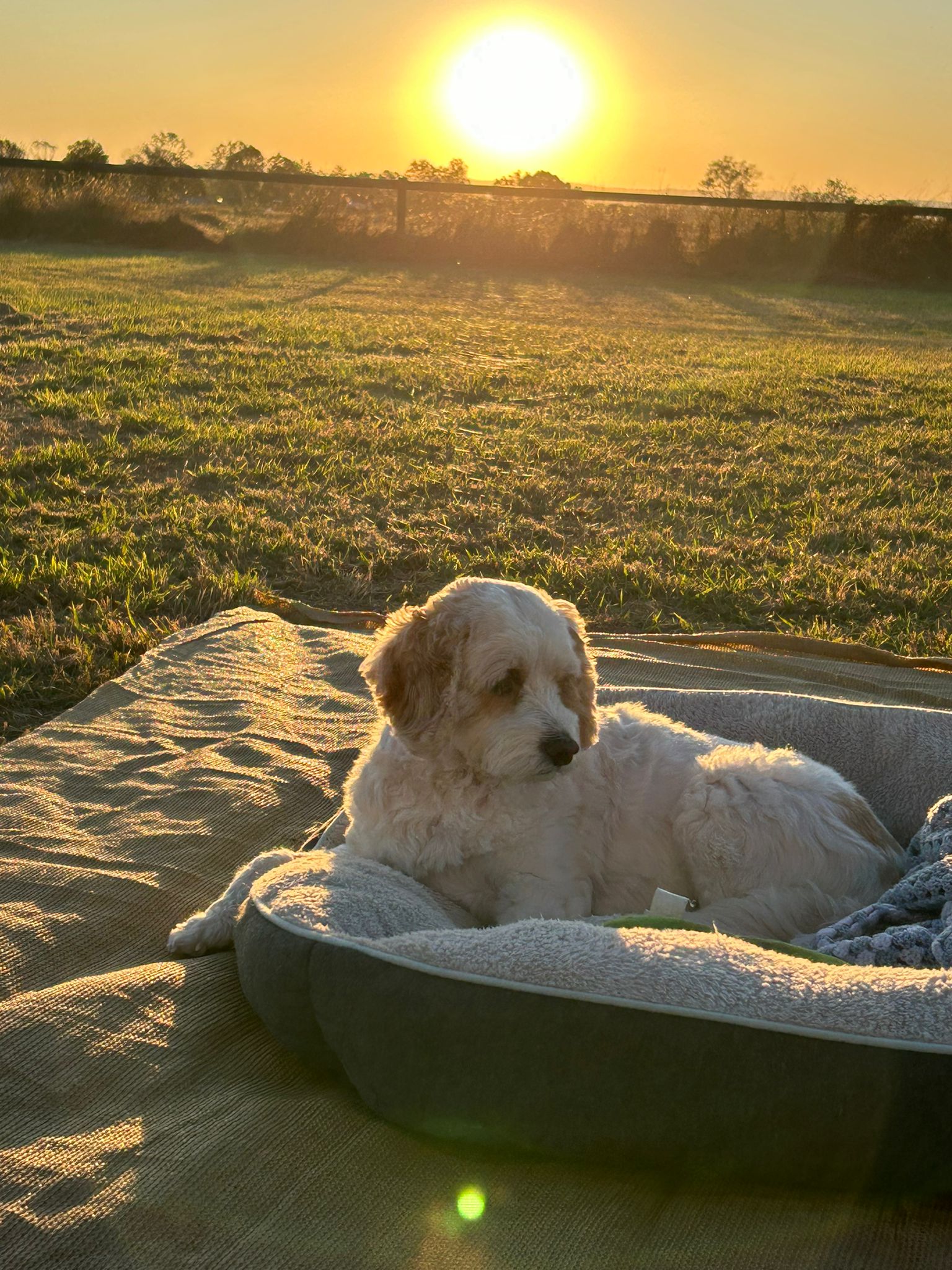 Clancy's on Clarendon