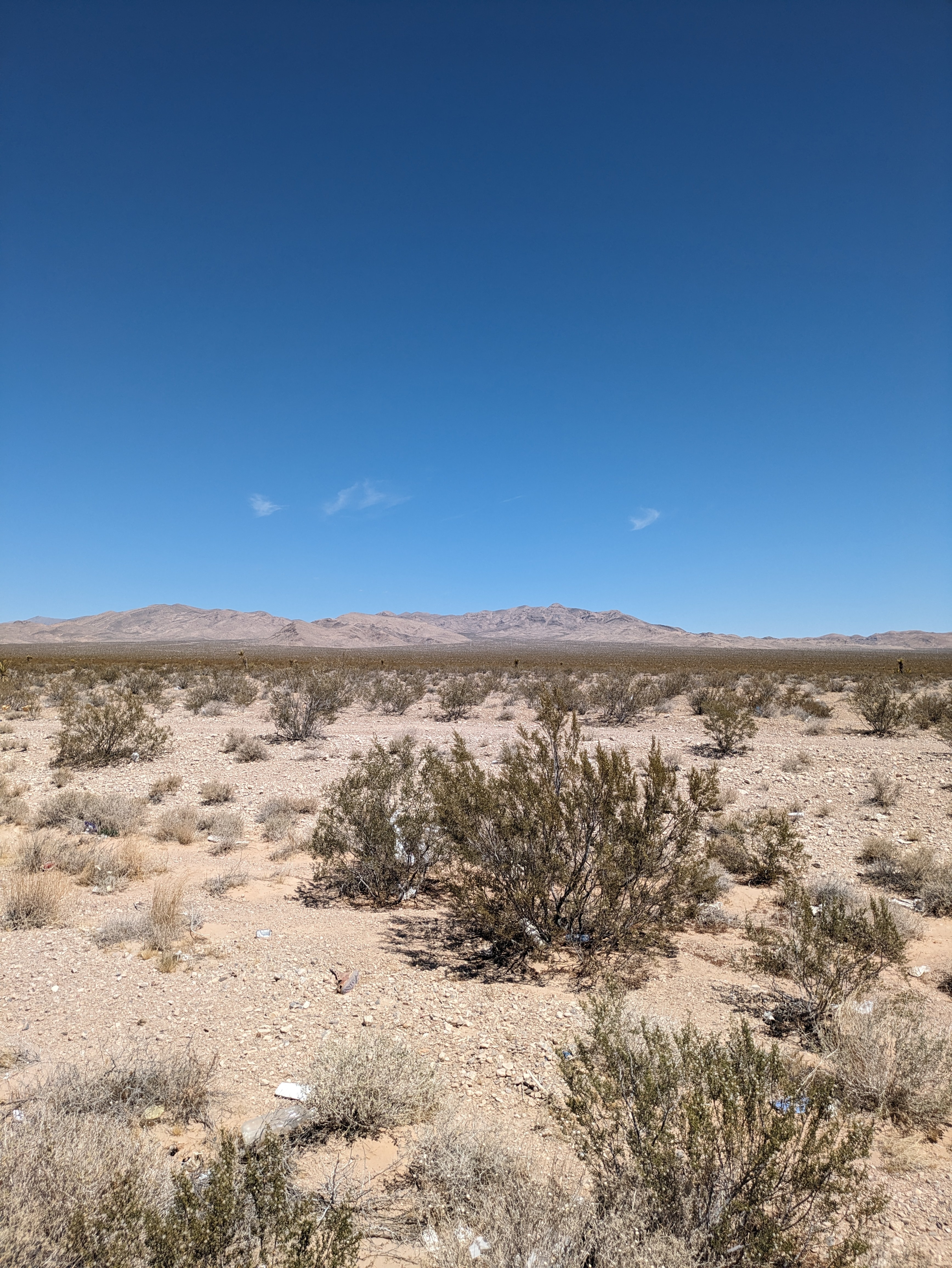 Pahrump Land, Desert Tranquility.