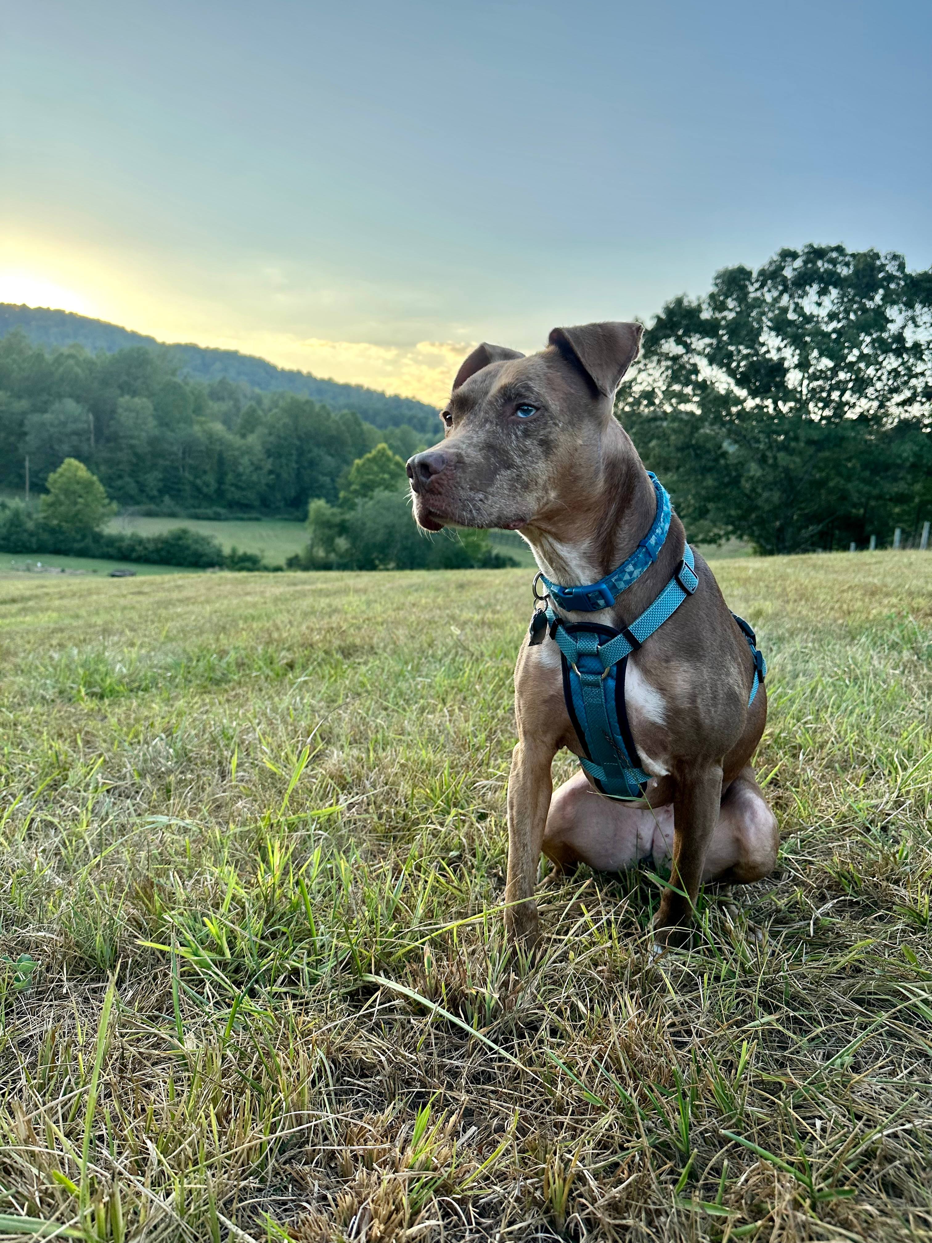 Rocky Run Farm Sharesites