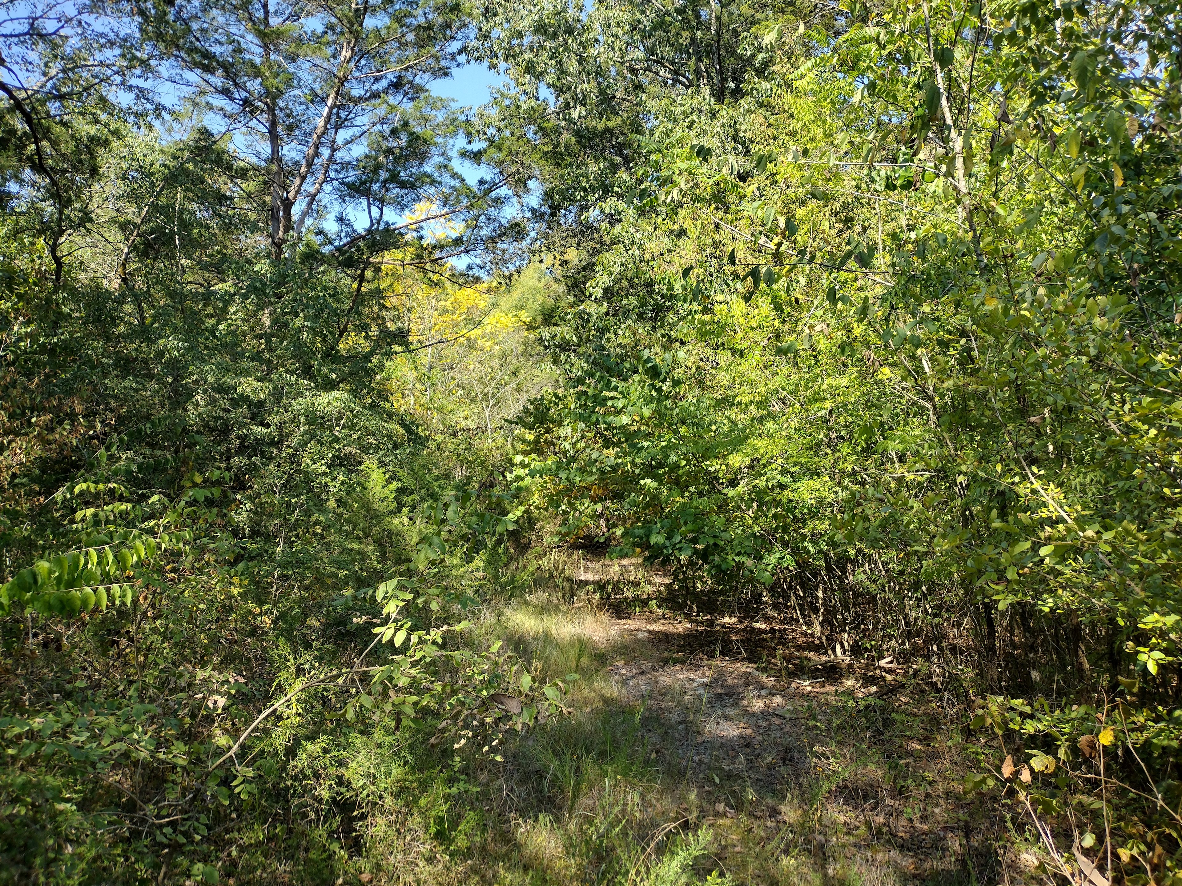 Priest Lake Property