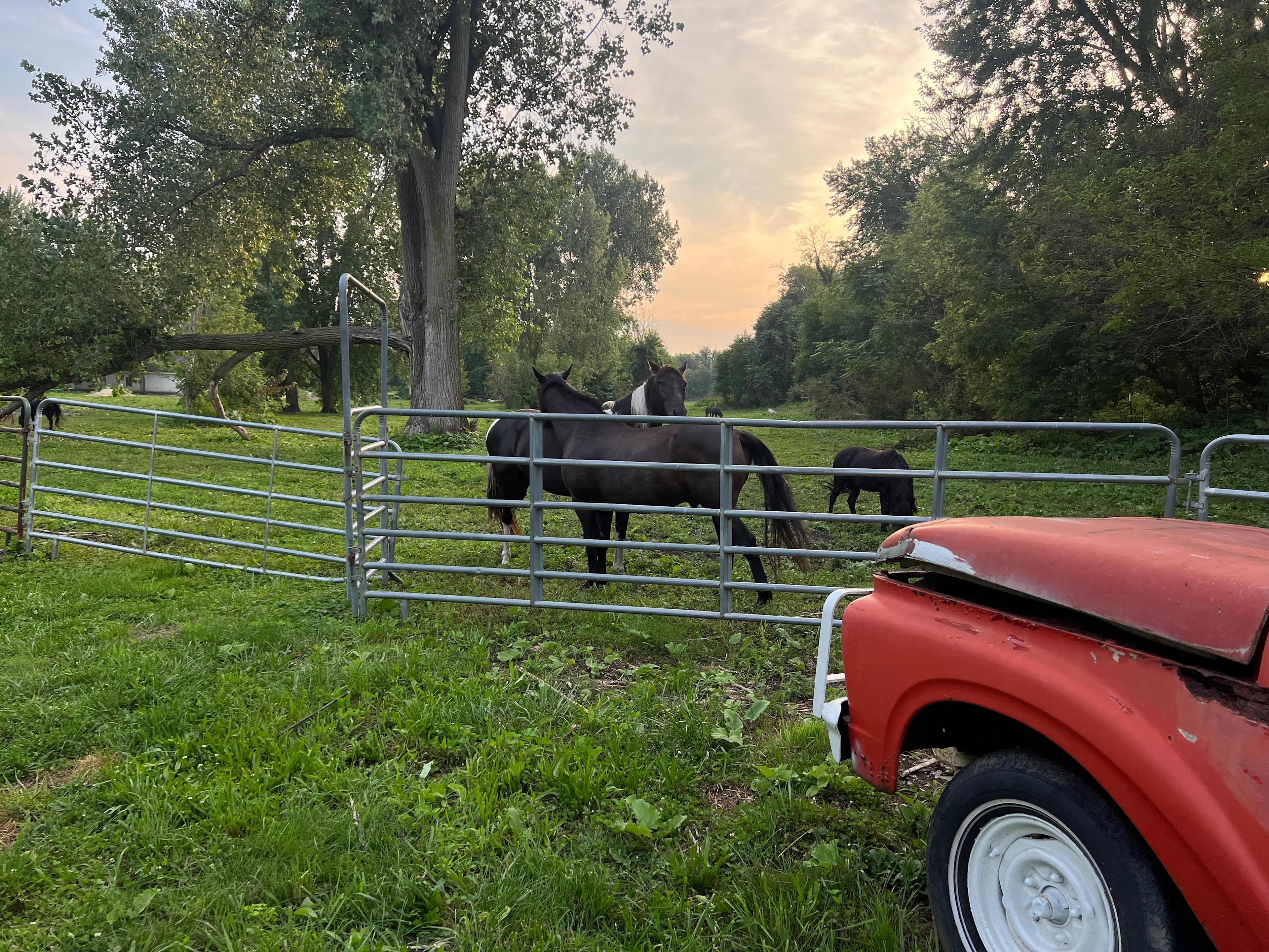 farm truck view at Station #1