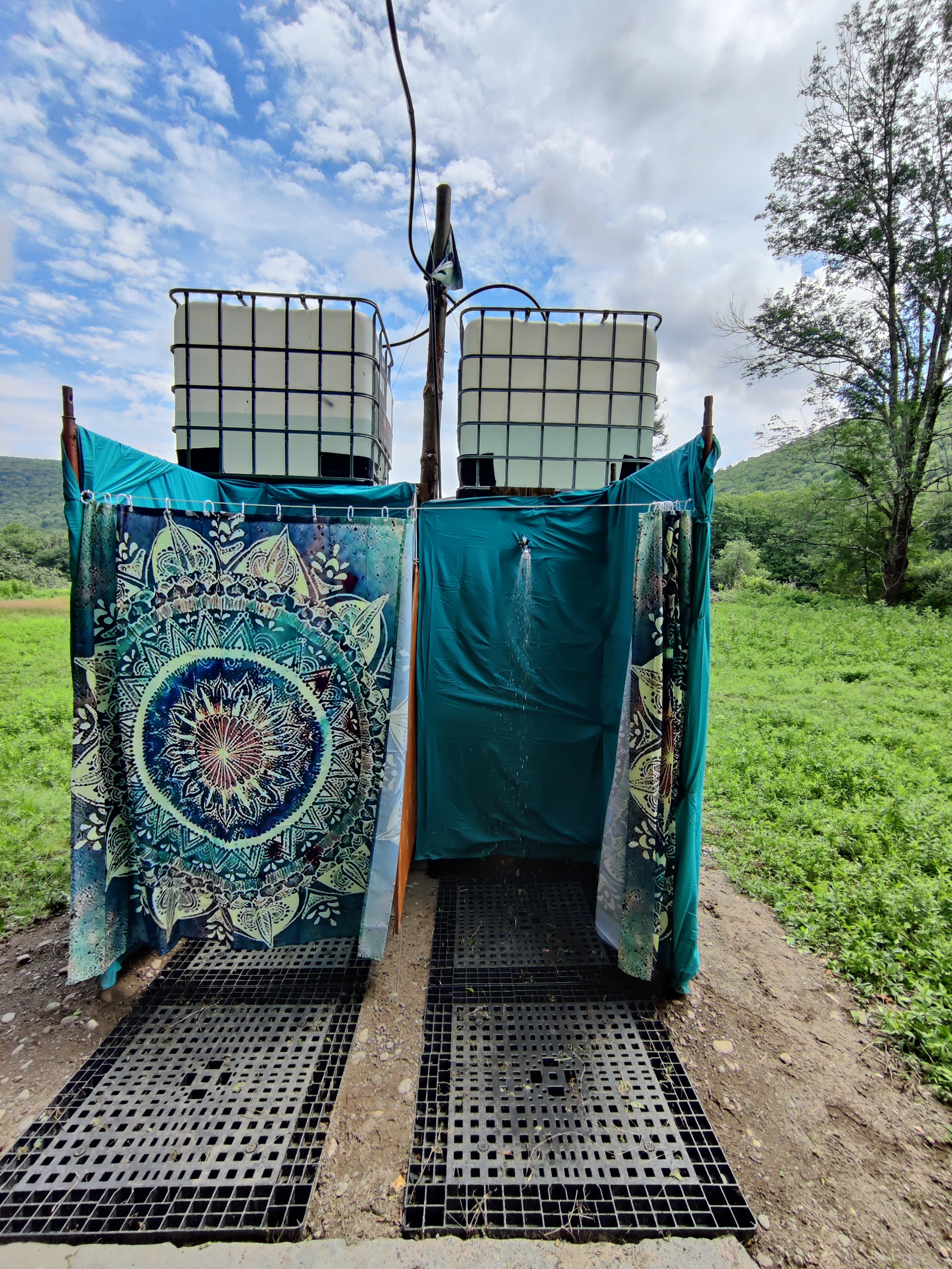 Balsam Gleann Meadows