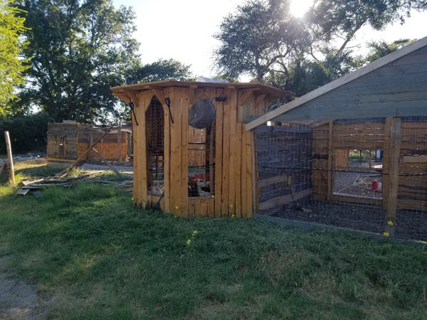 The Fabulous Bok Vegas, Texas