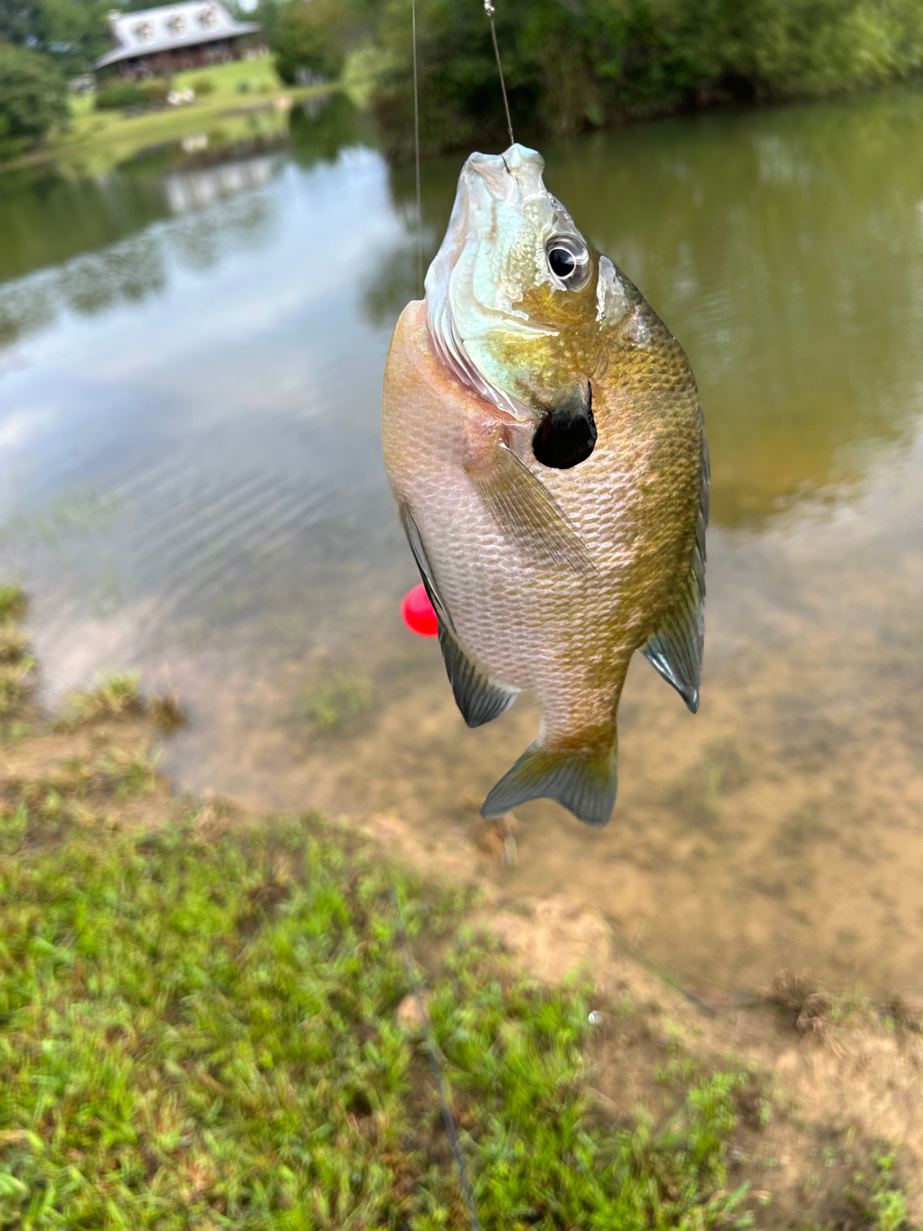 Getaway Camp & Retreat