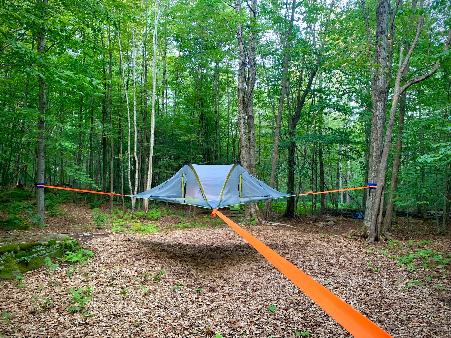 Tree Tent