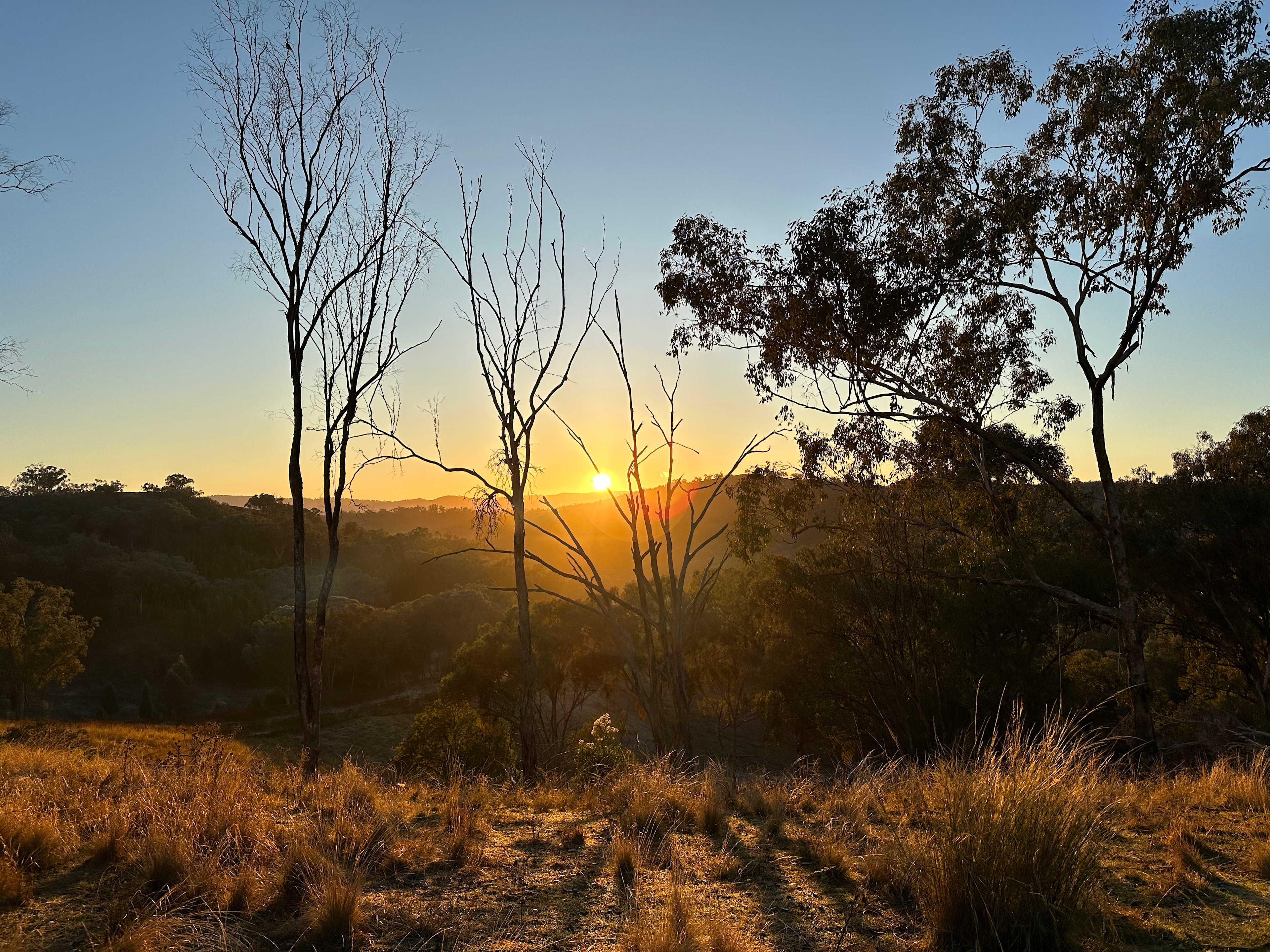 The Stockyard Experience