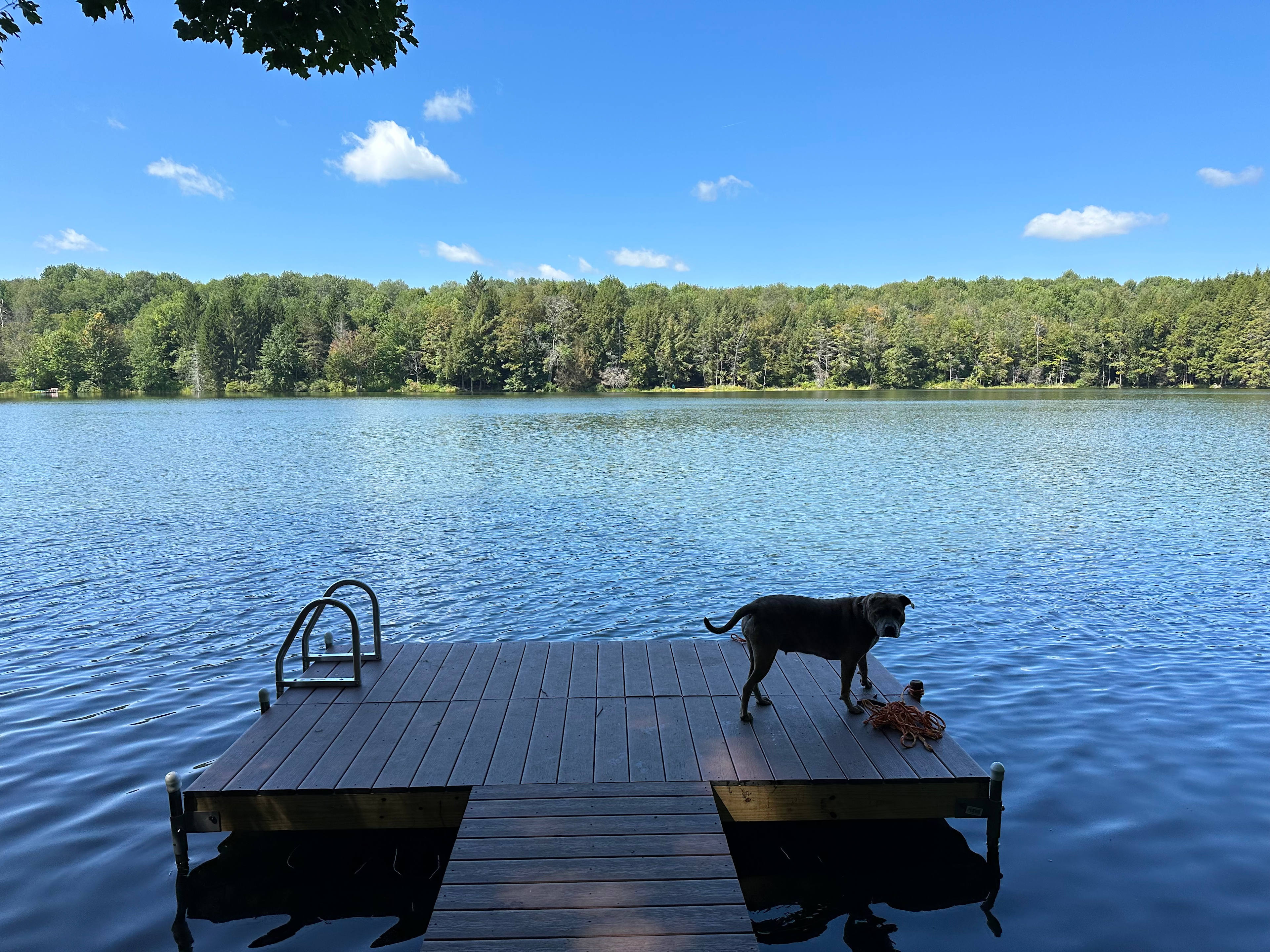 Smyrna Lake Campsite