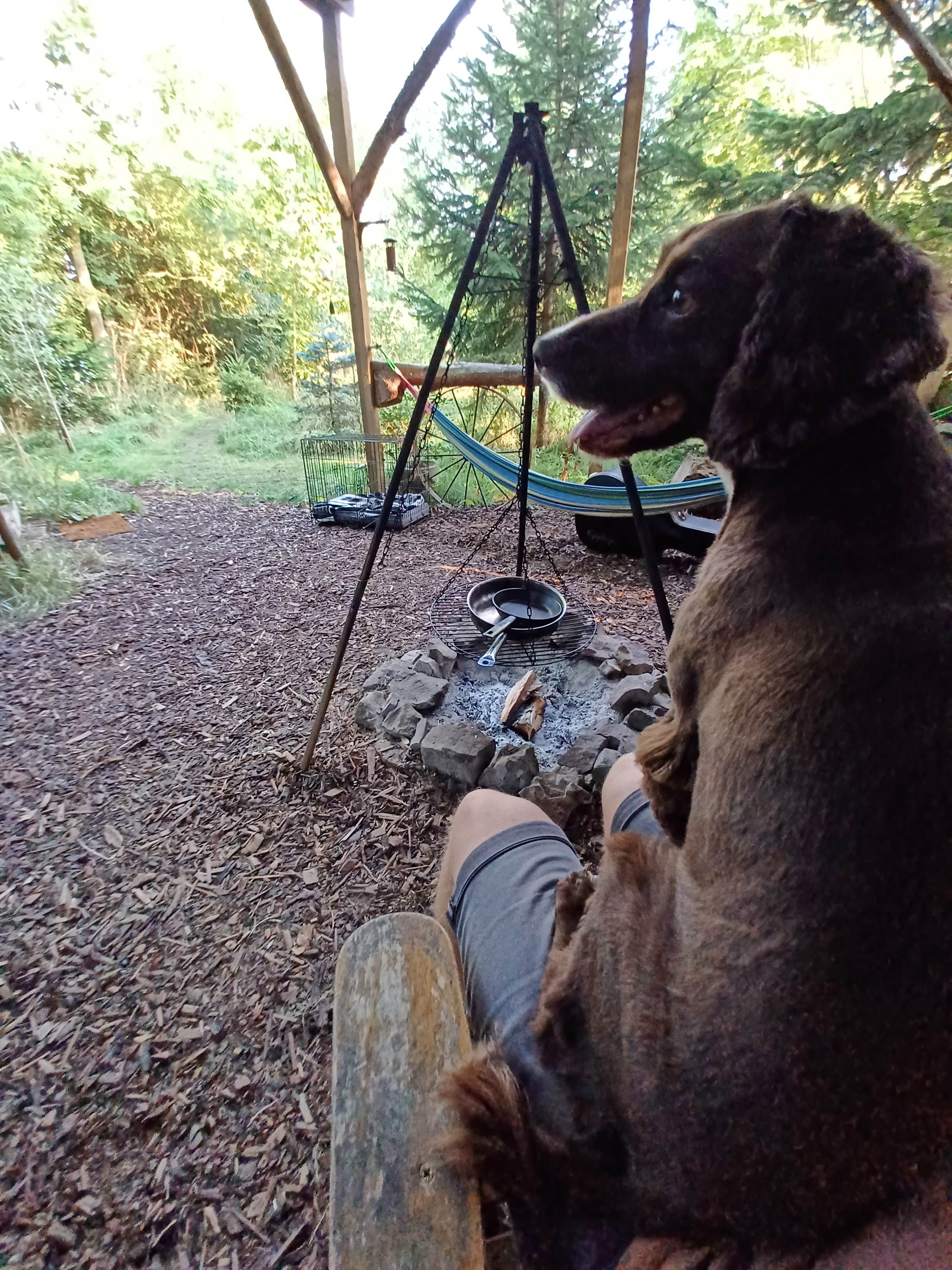 The Hobbit House and Secret Garden