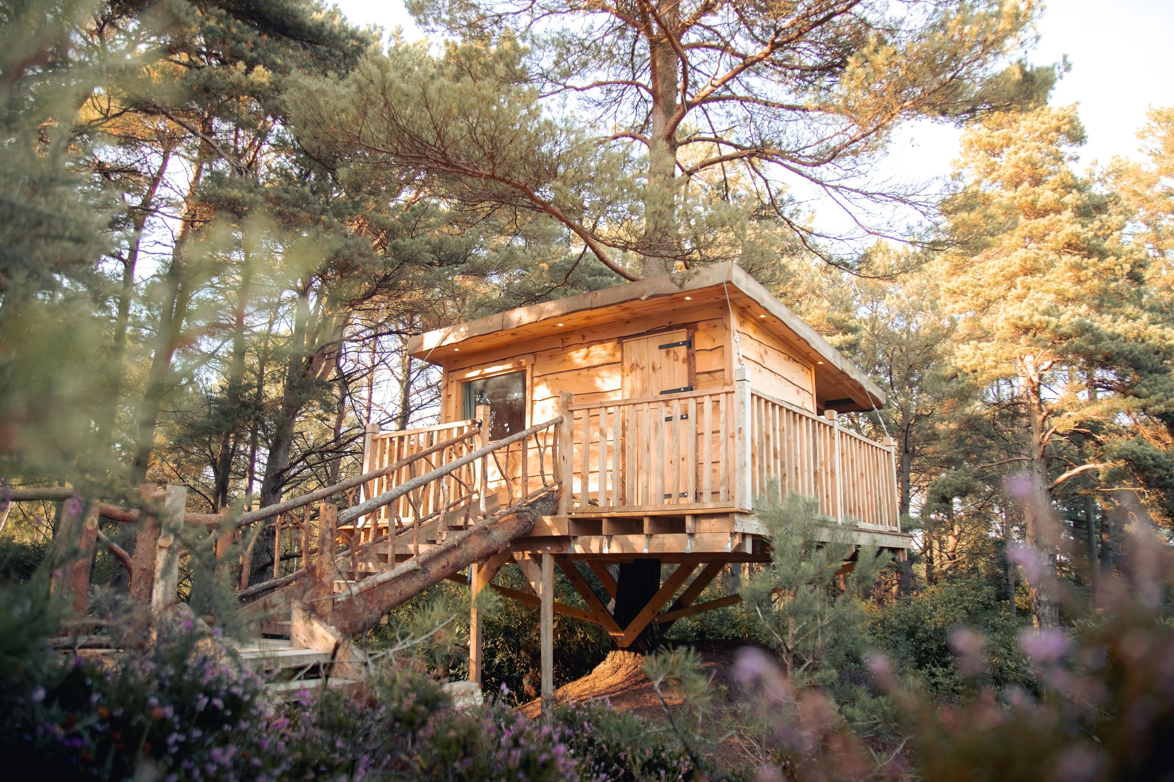 A great spot to unwind with friends and loved ones. Our treehouse was in a tucked away part of Bluepool where we had plenty of space and lovely scenery all around.
