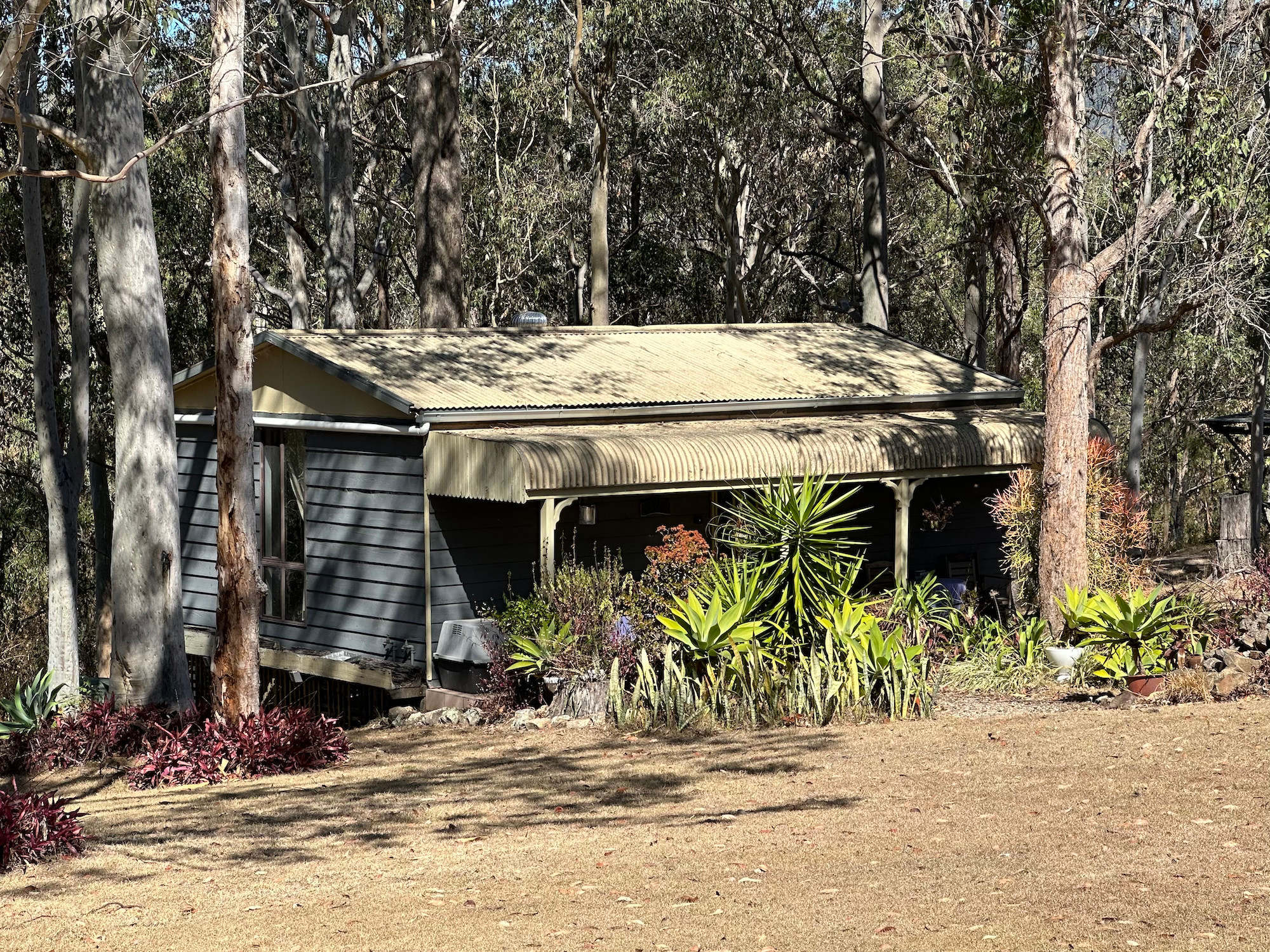 A Home among the Gum Trees