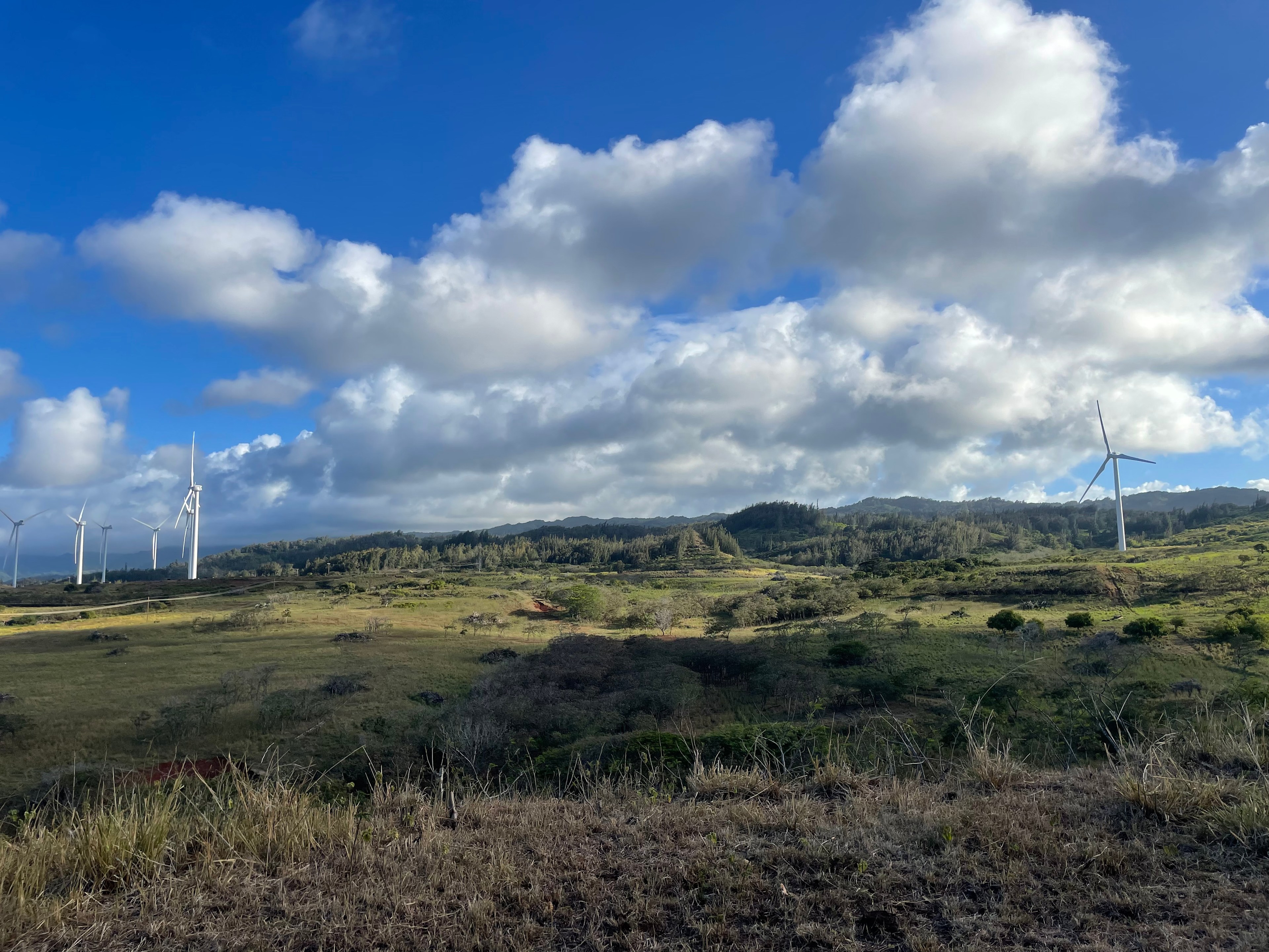 Peace in Paradise :)