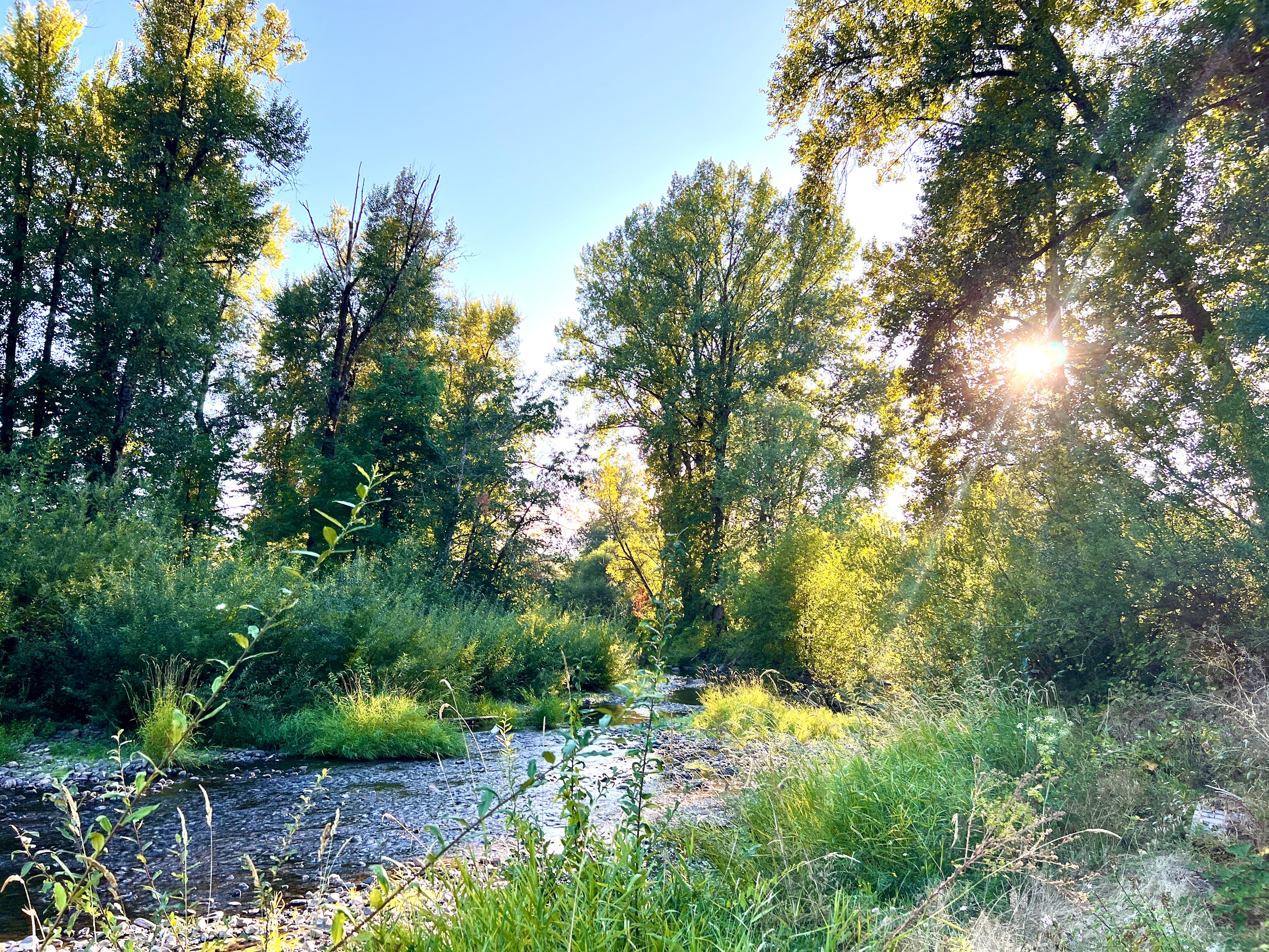 Just steps from the gorgeous creek