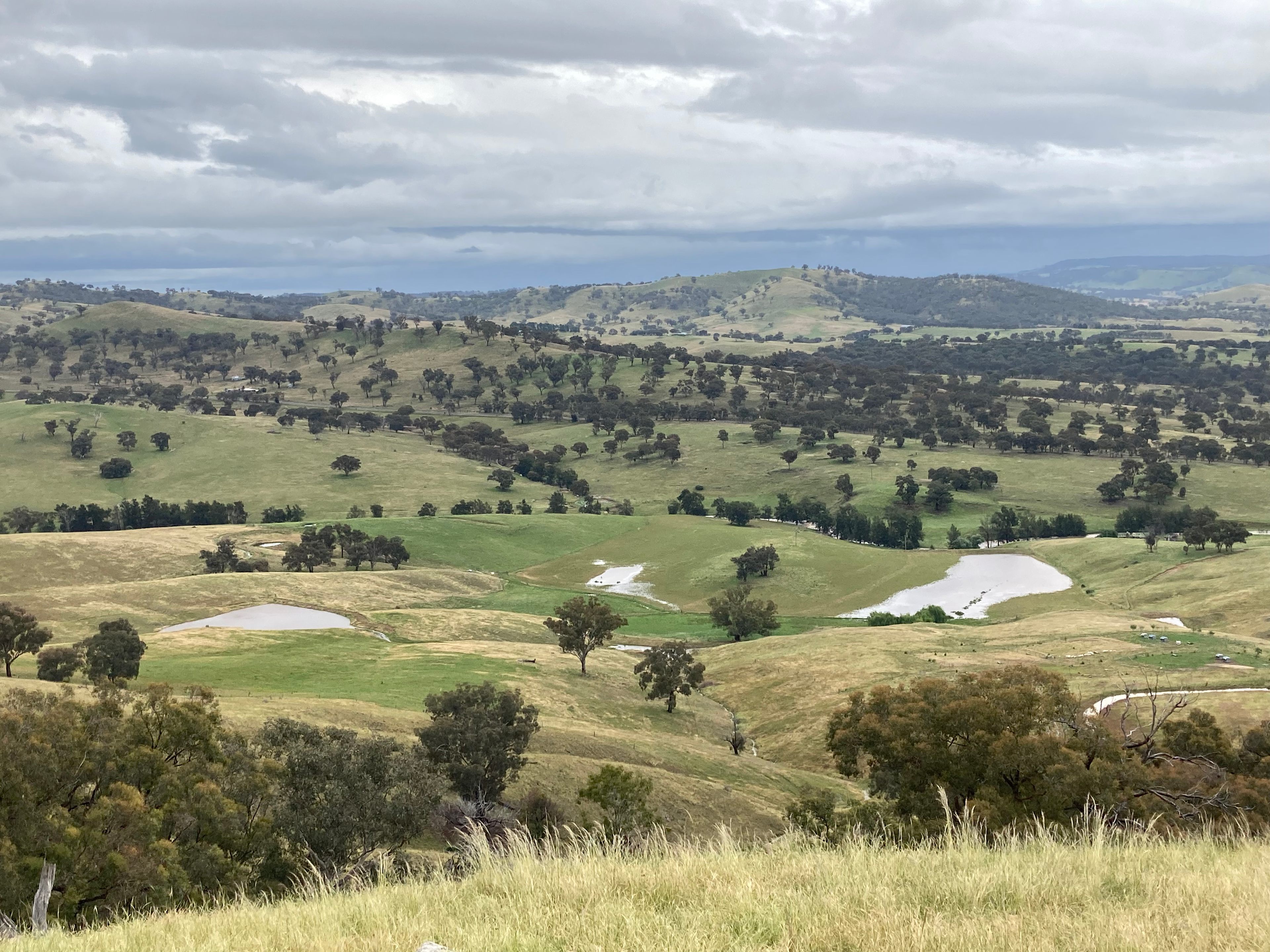 Views to the south