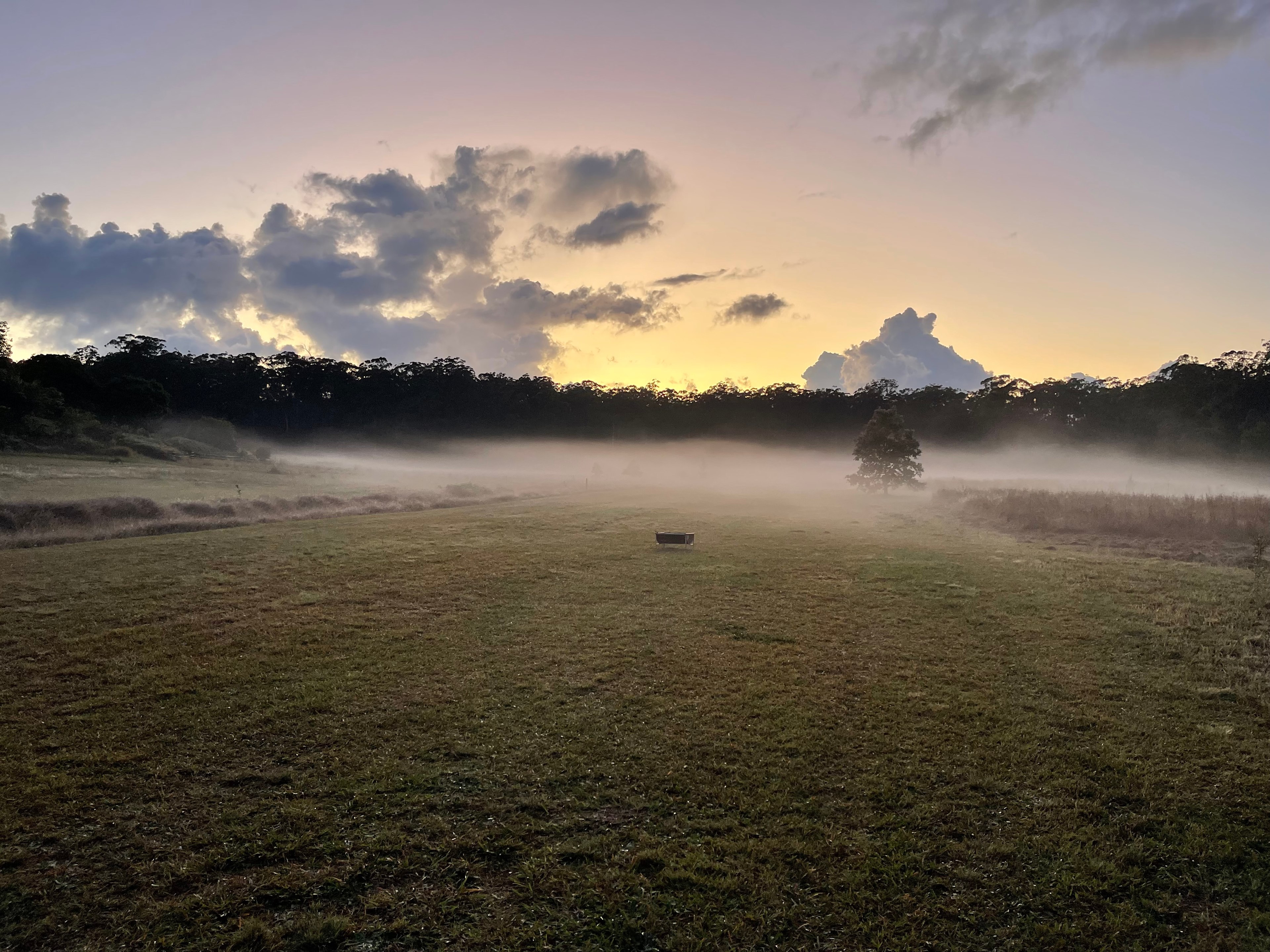  Beautiful morning view.