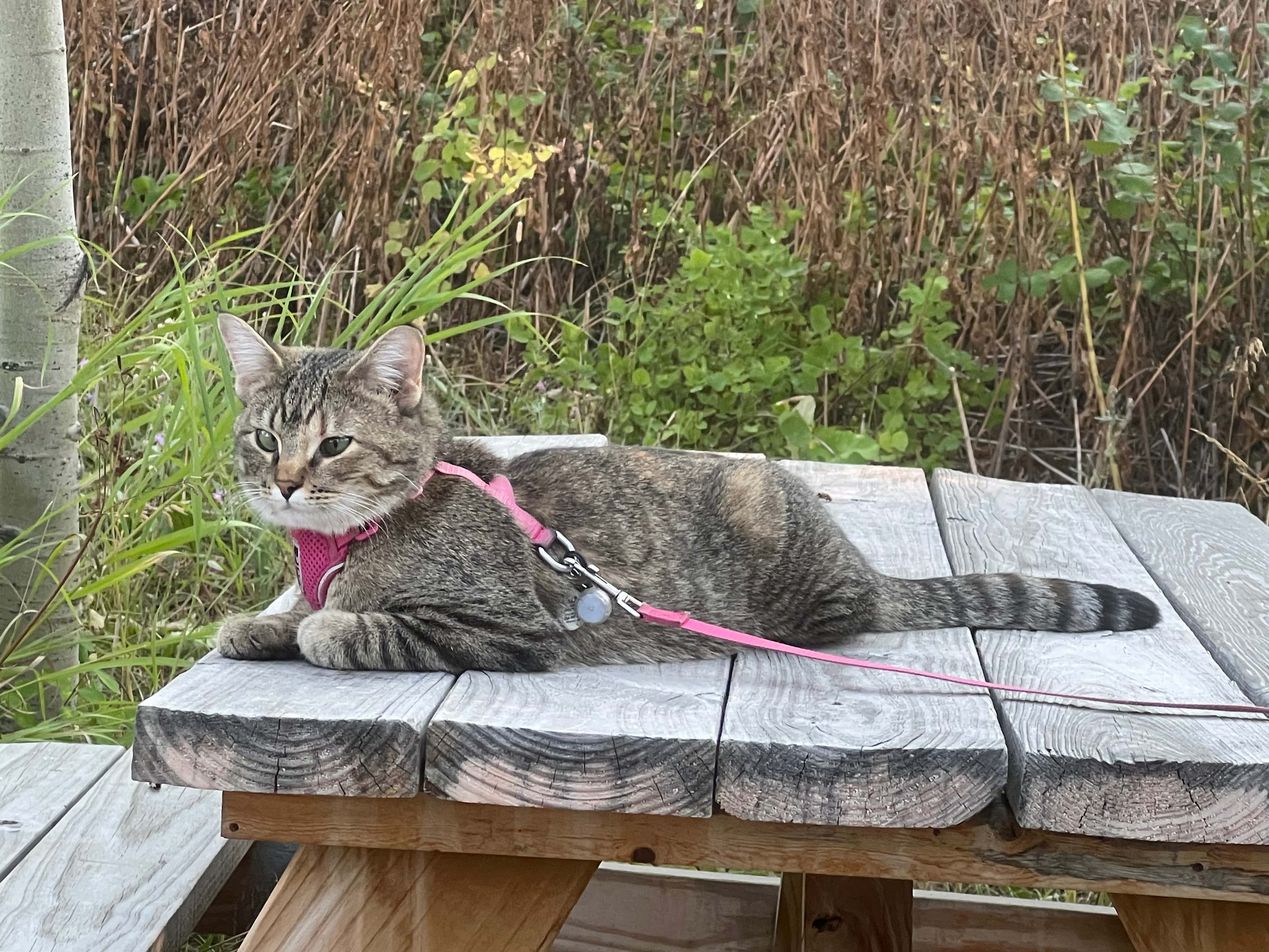 Duck Lake Lodge Campground