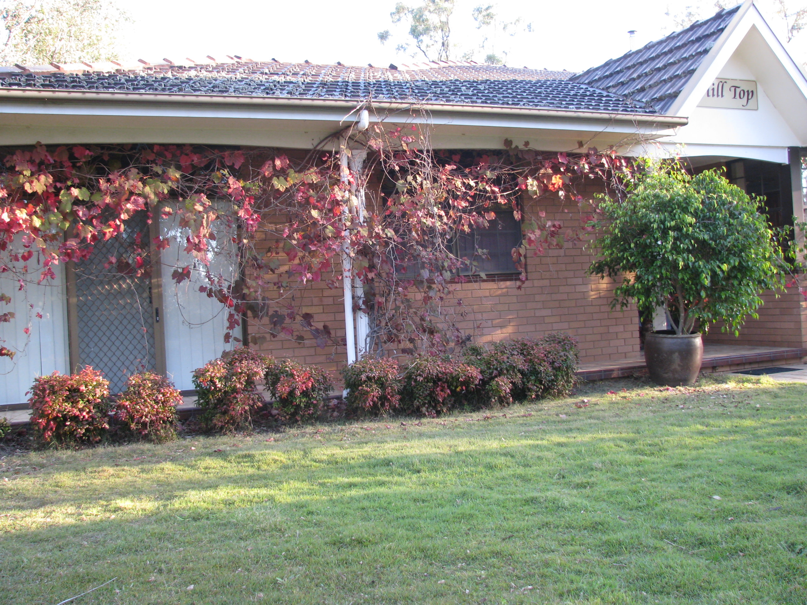 Hunter Valley Hill Top Lovedale