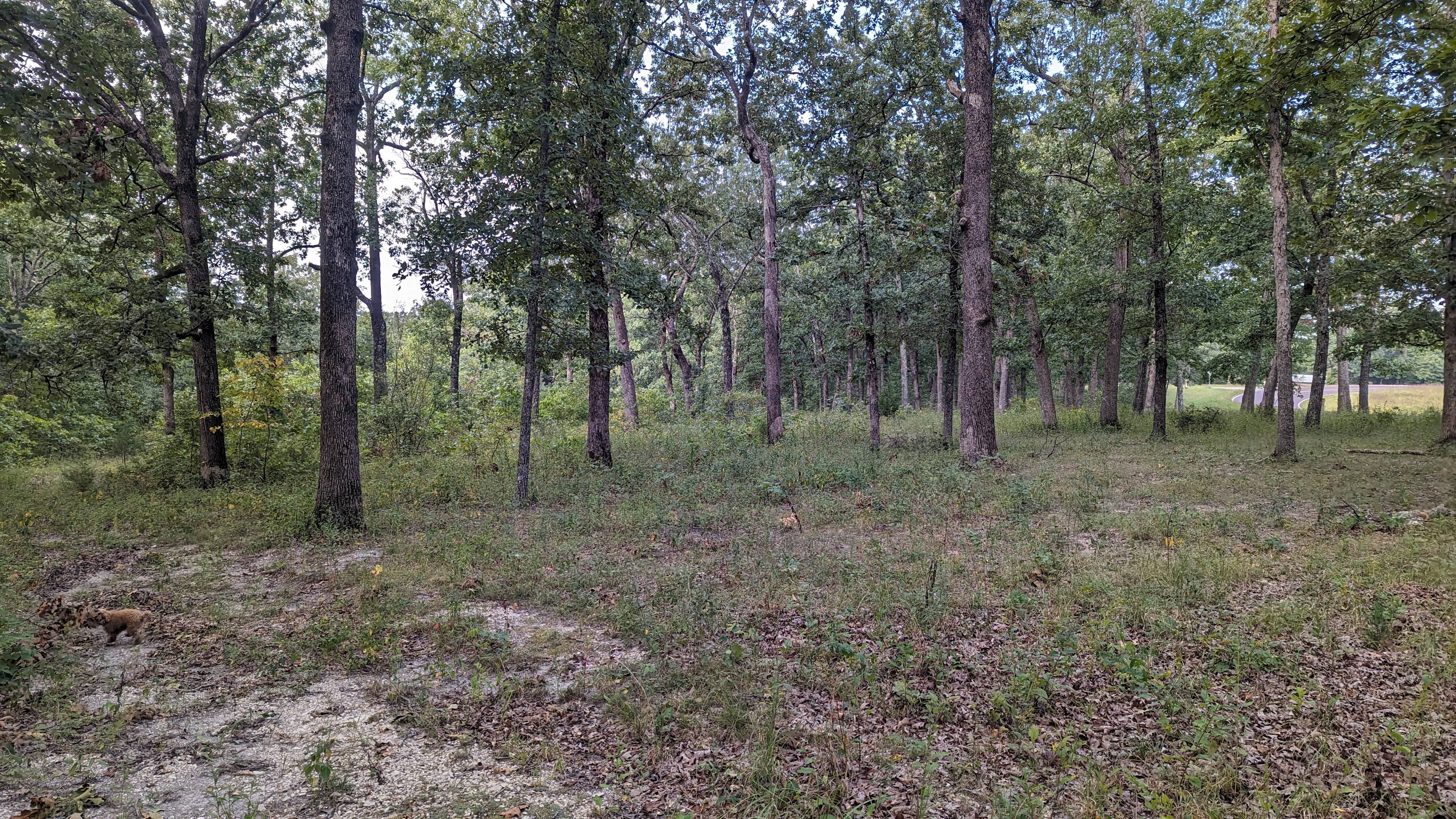 Camping Area 