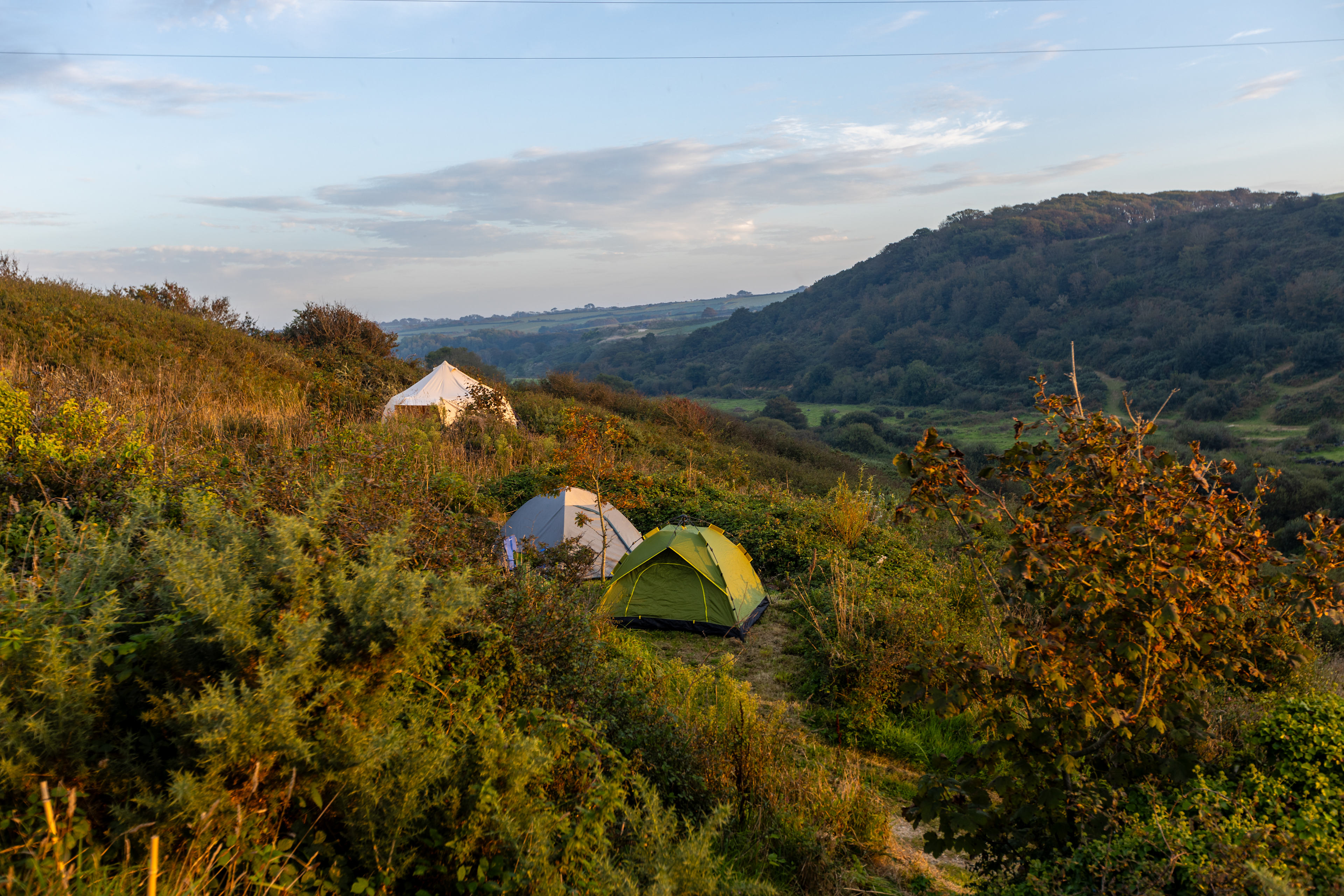 Ro Dama Community Farm