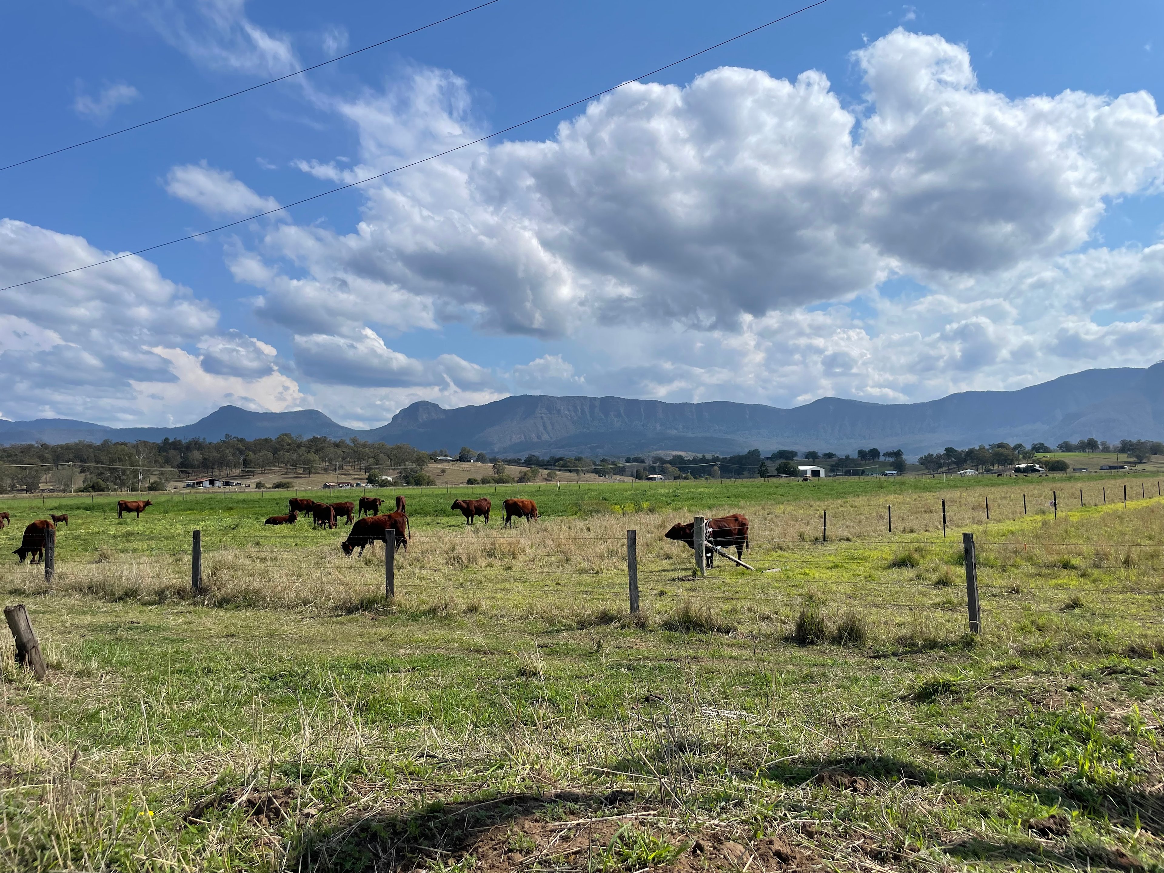 Warrill Creek Camping