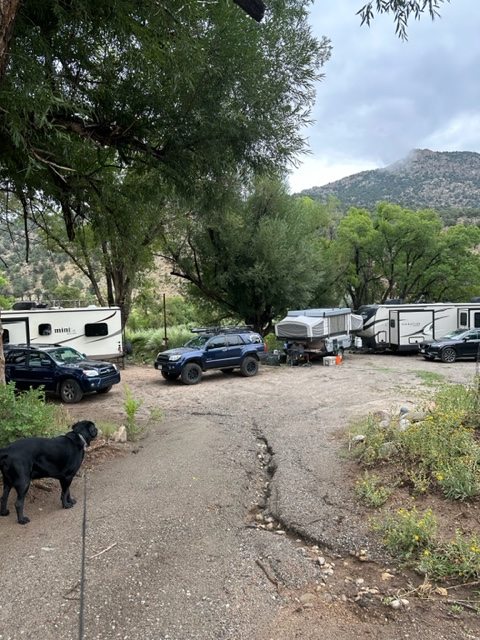Friends rented all 3 spaces, Brown Trout, Brook Trout, and Cutthroat Trout. 