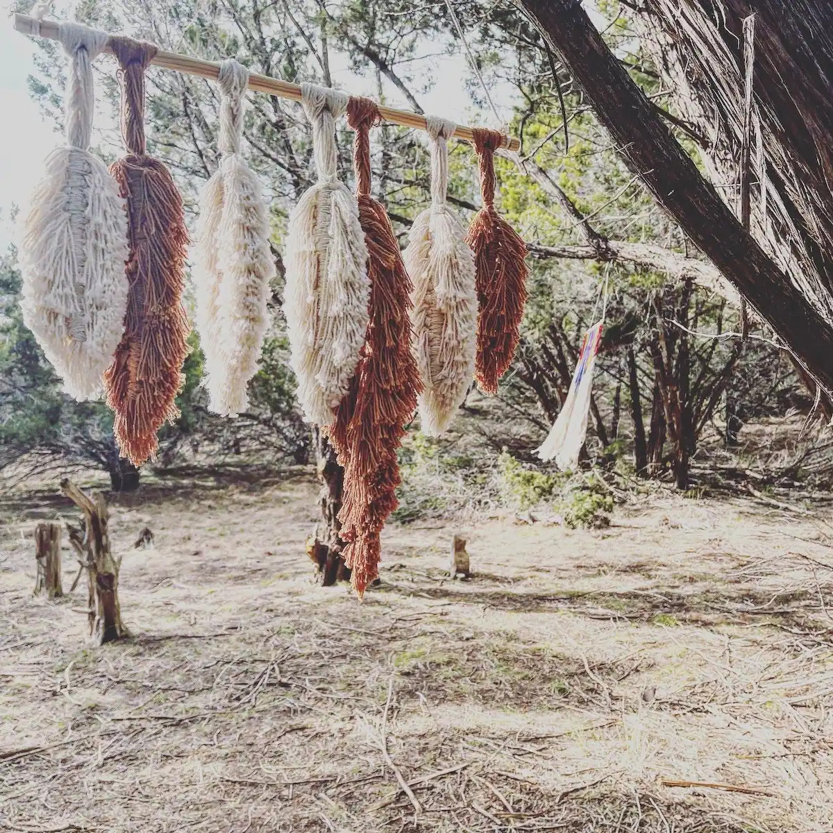 Our Sacred Forest Walk: No camping in sacred forest, but lovely for meditation and relaxation!