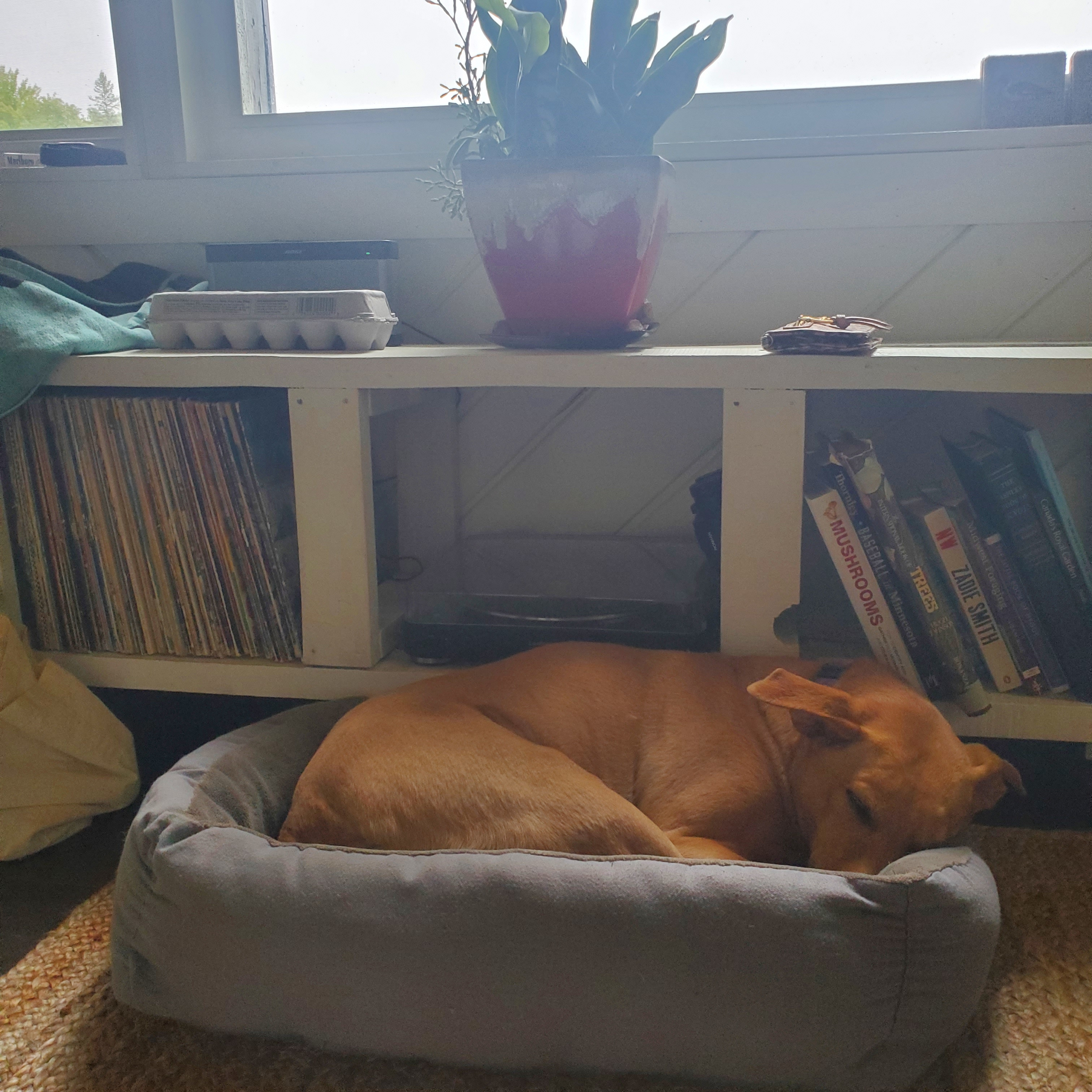 Rainy post-hike vibe