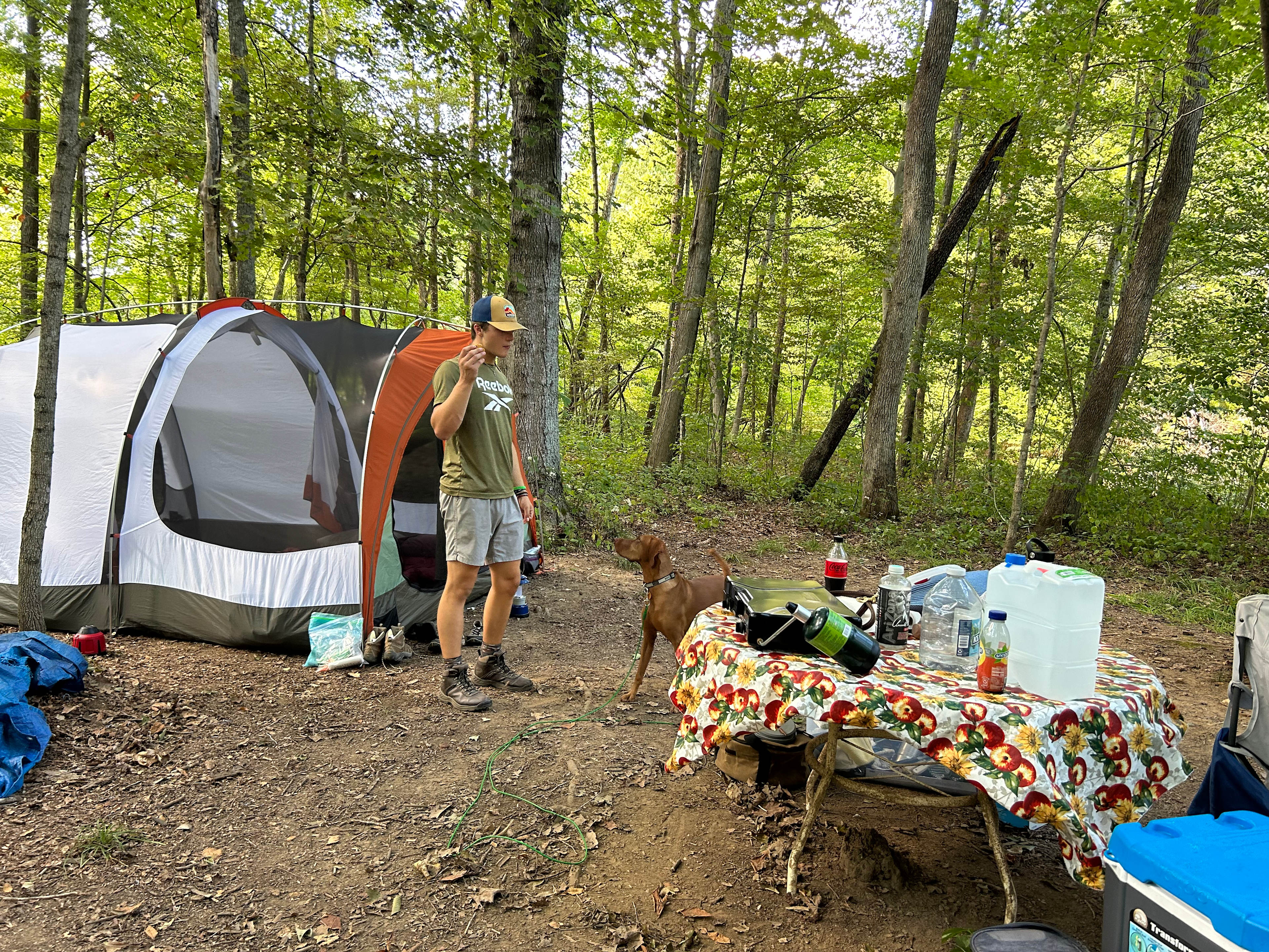 Myhio Haven Horse Farm