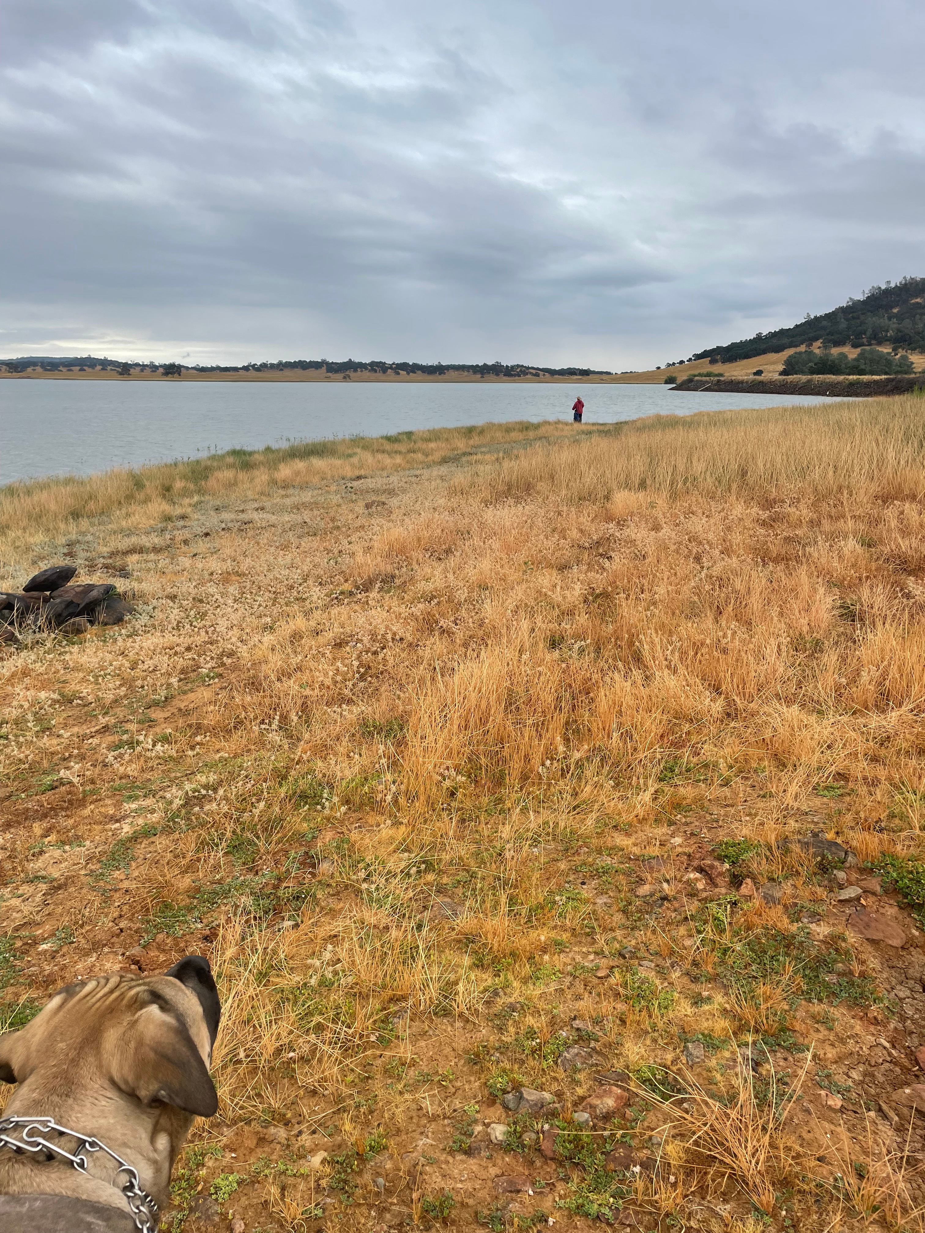 Rocksteady Adventures