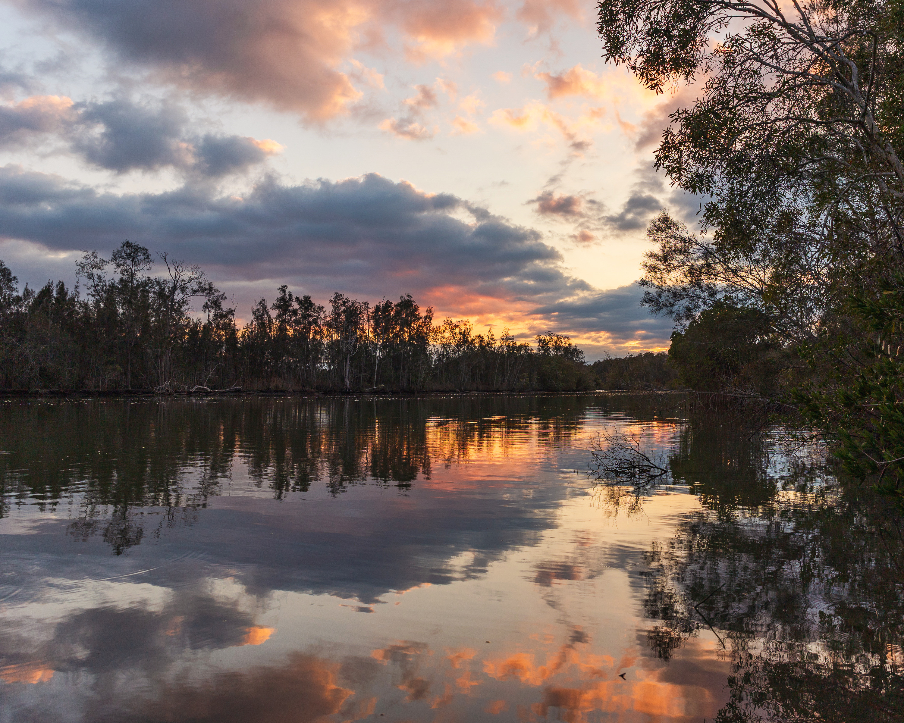 Sunrise on the river's edge