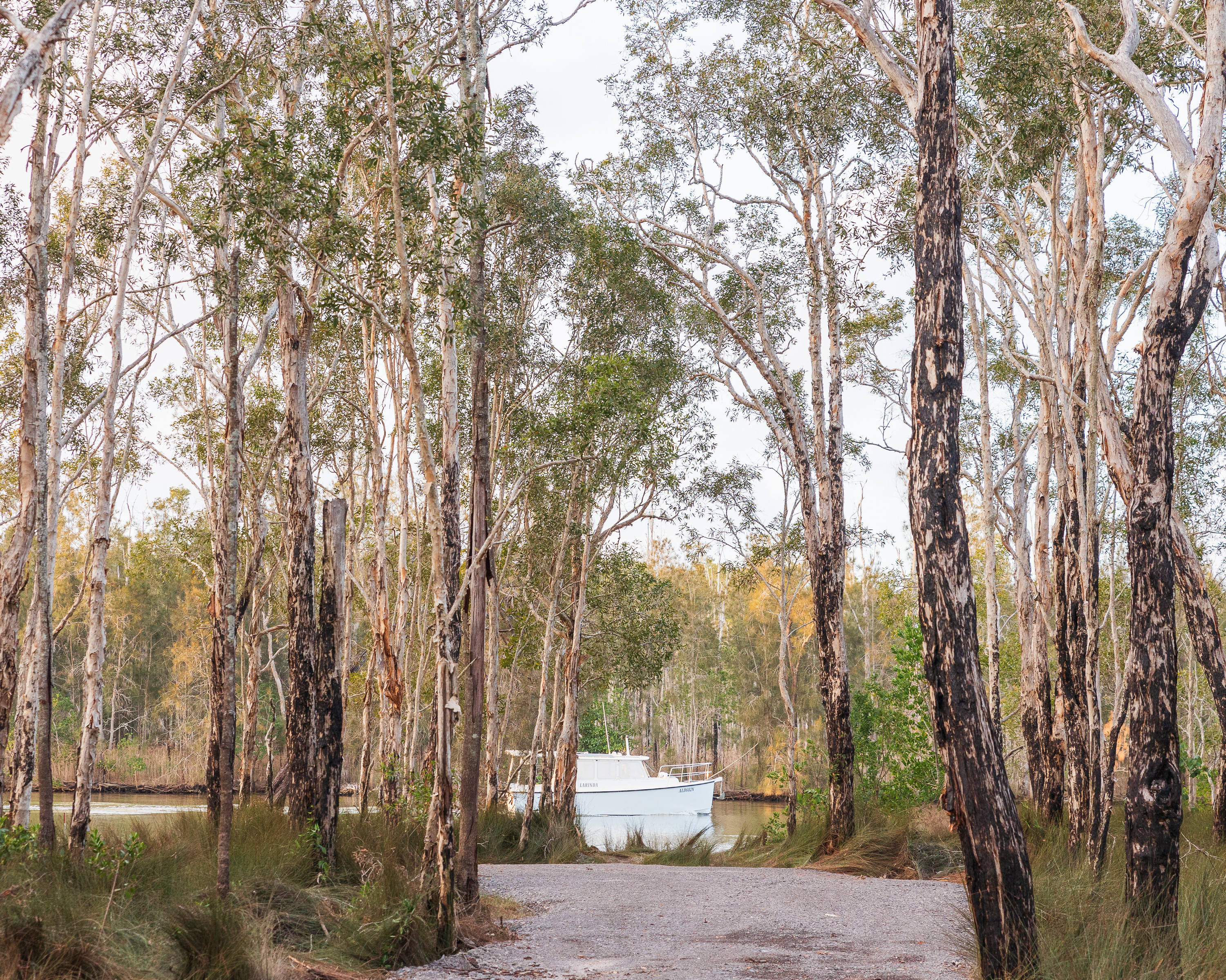 Noosa River Camping at Cooroibah
