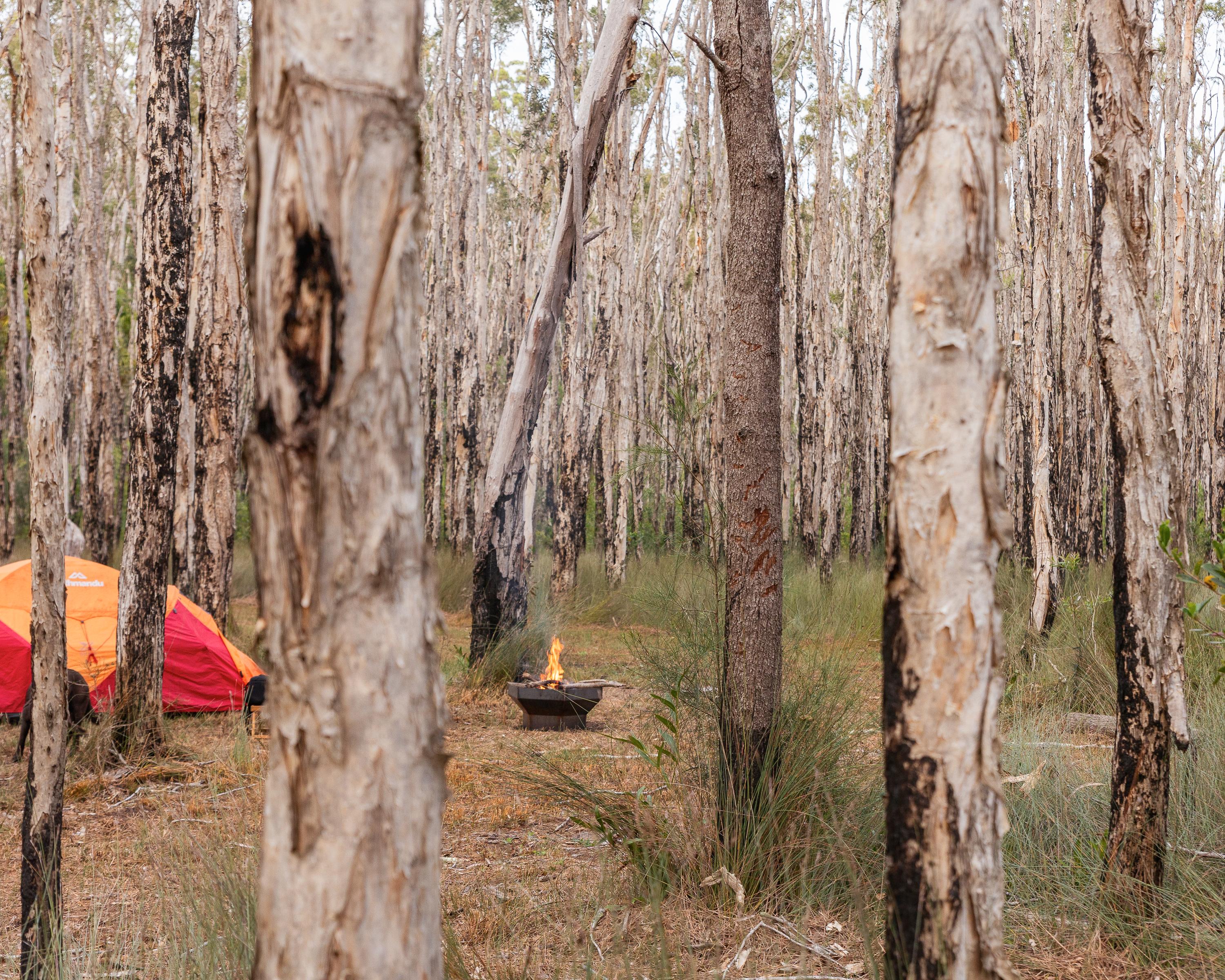Noosa River Camping at Cooroibah