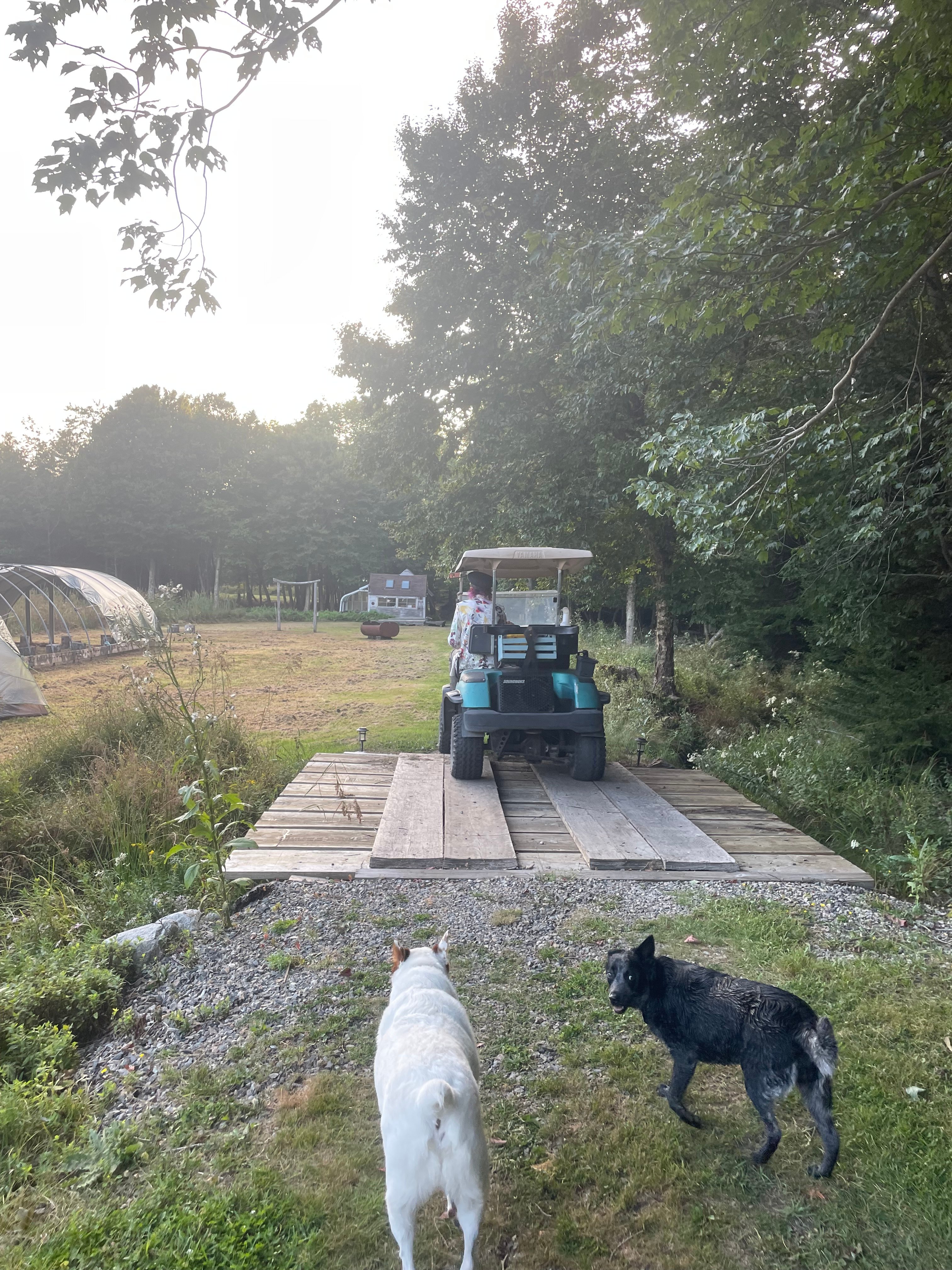 Cabin Creek Farm