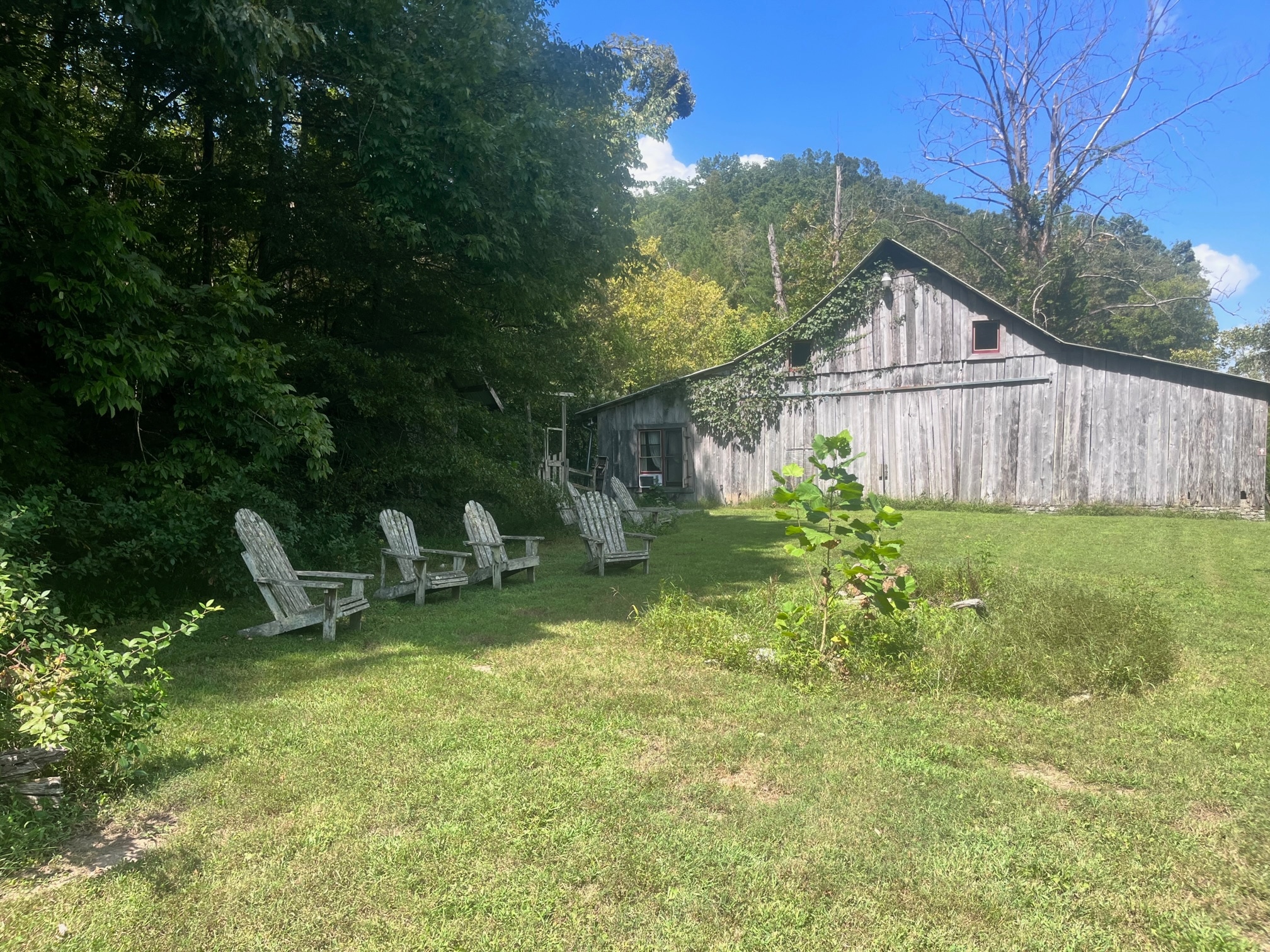 Dead / Phish Pharm Camp