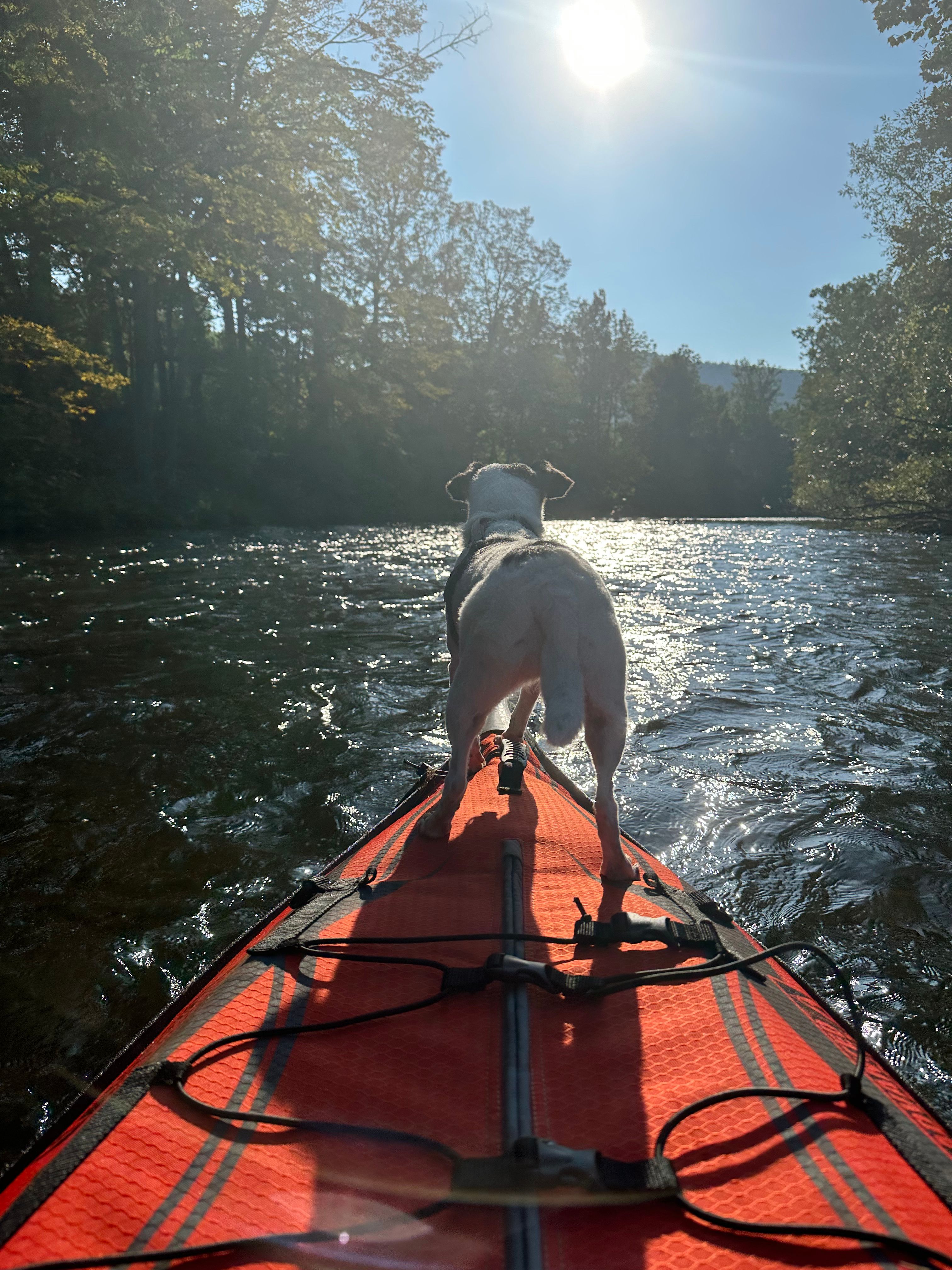 Mountain Rise Farm and Campground