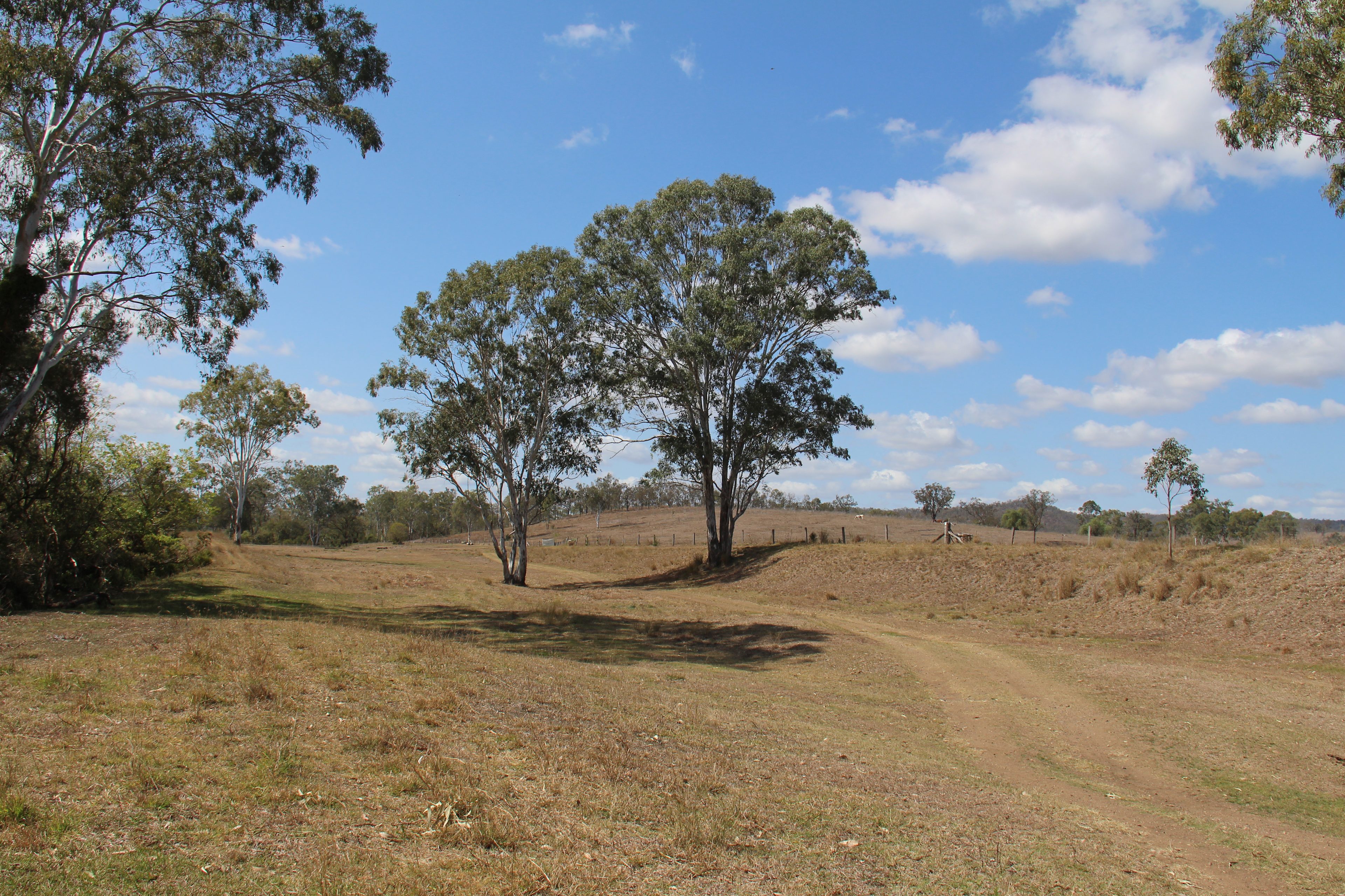 Rockview Farm