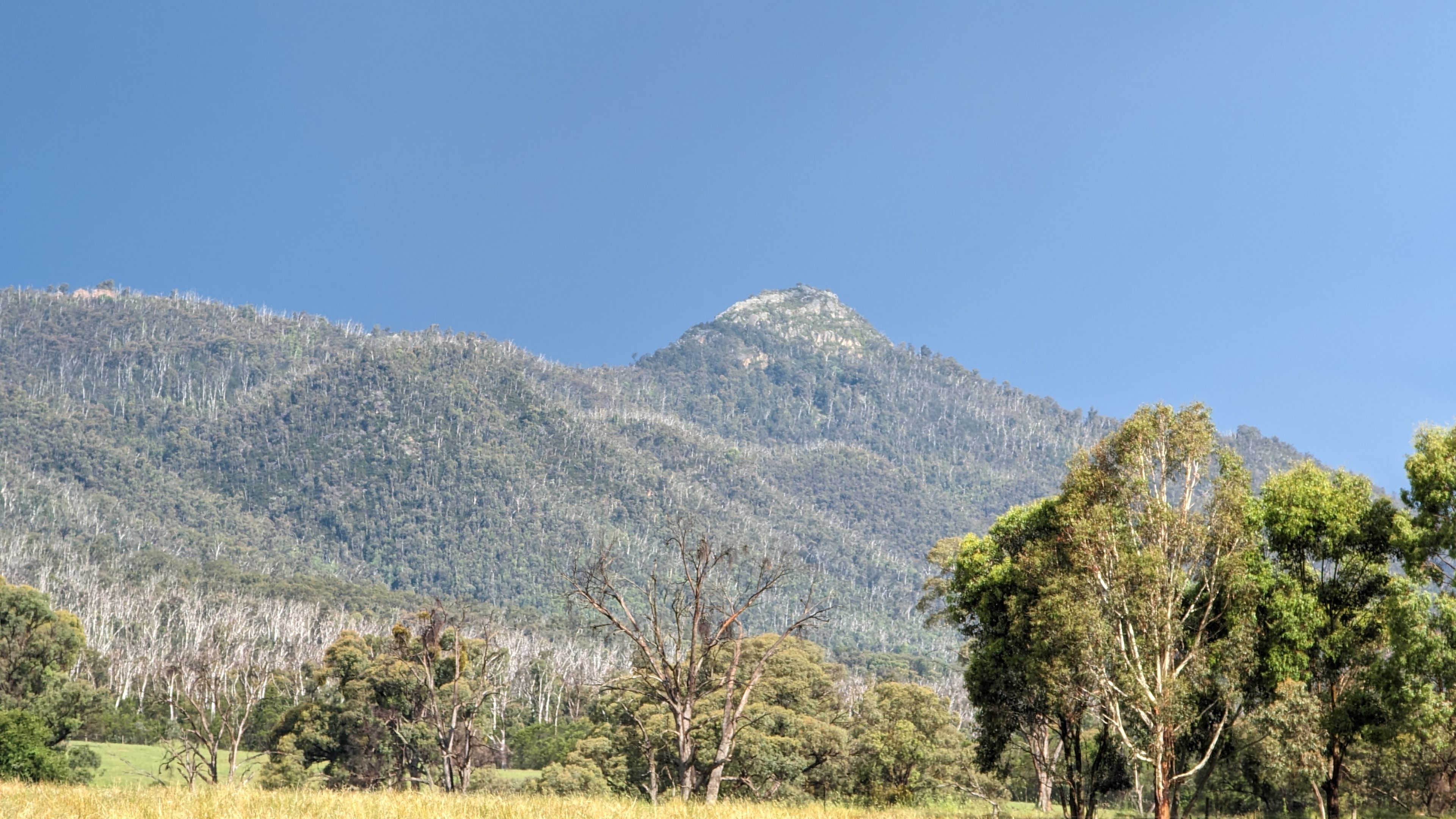 Nanadhong Views