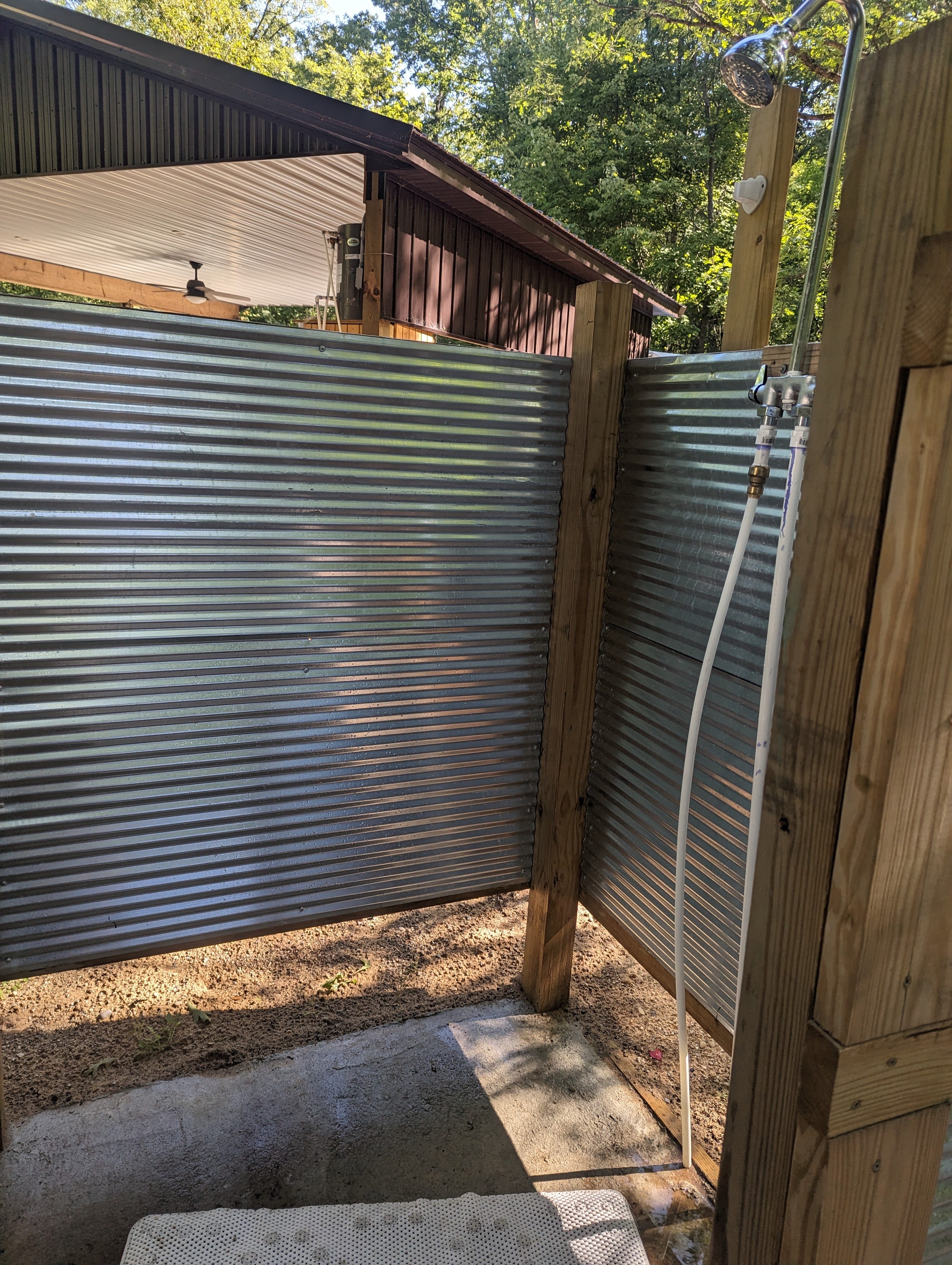 Daisy Jane in the meadow