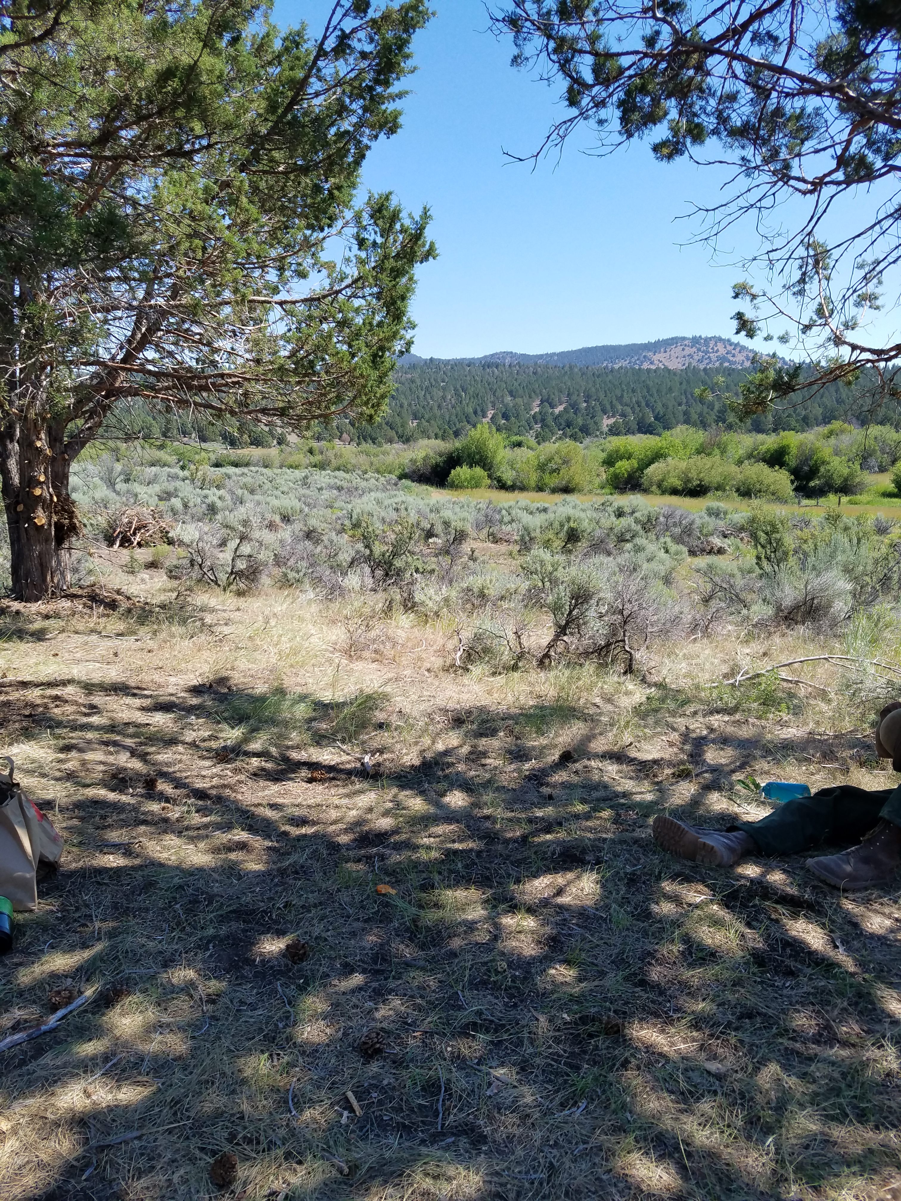 River Picnic