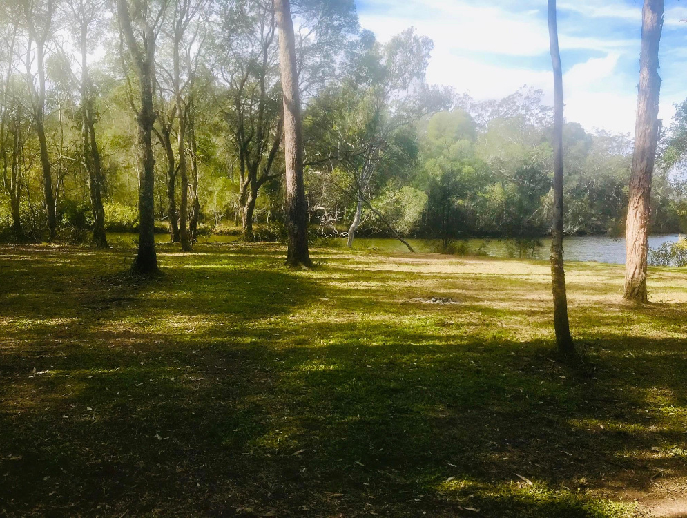 Brandy Arm Creek site