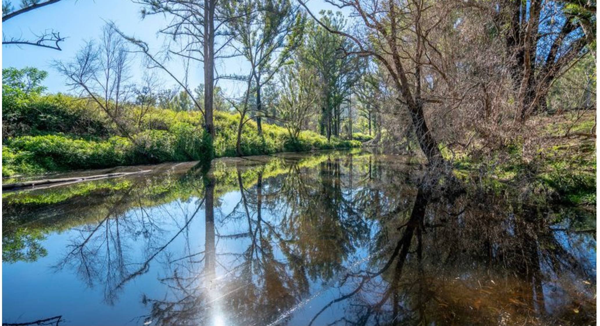 Wombat Hollow