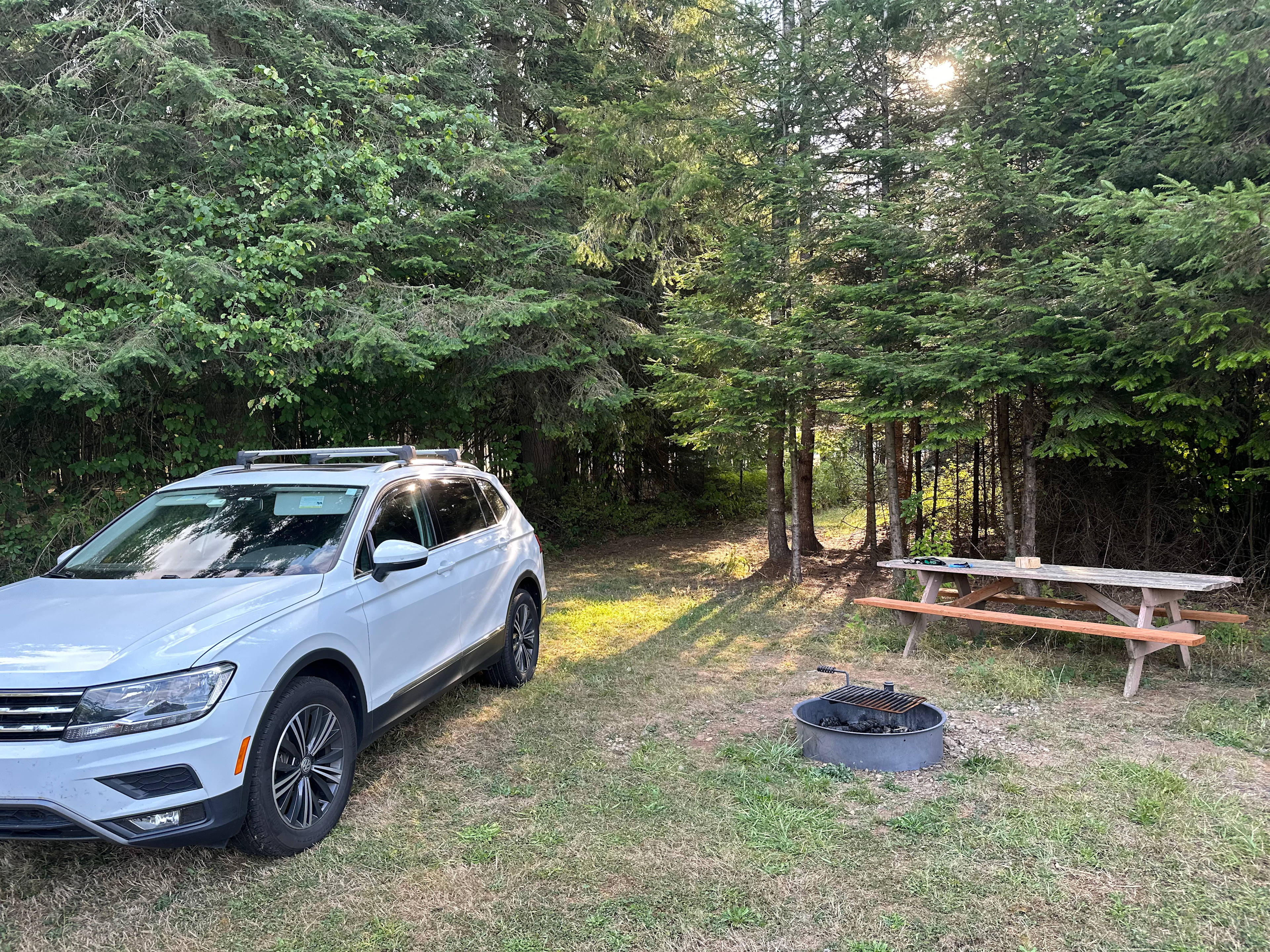 Site 2 with path behind