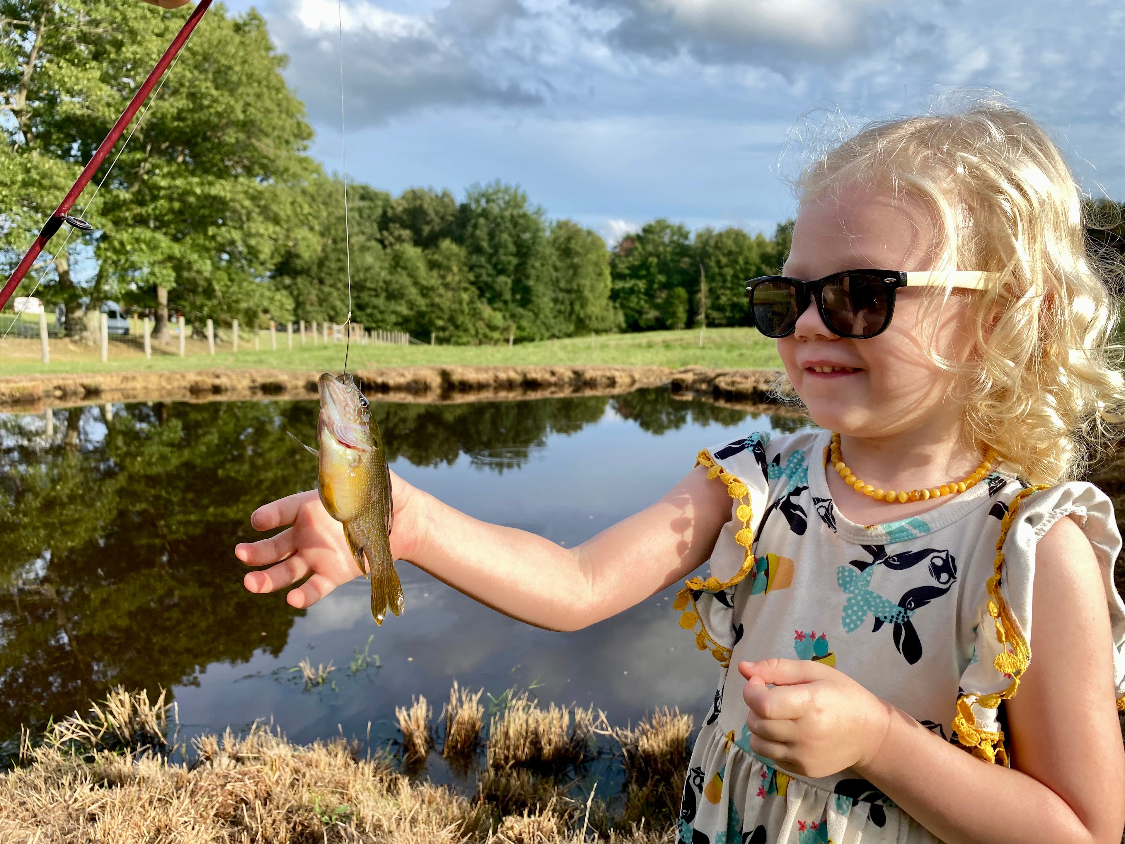 Family Farm Experience