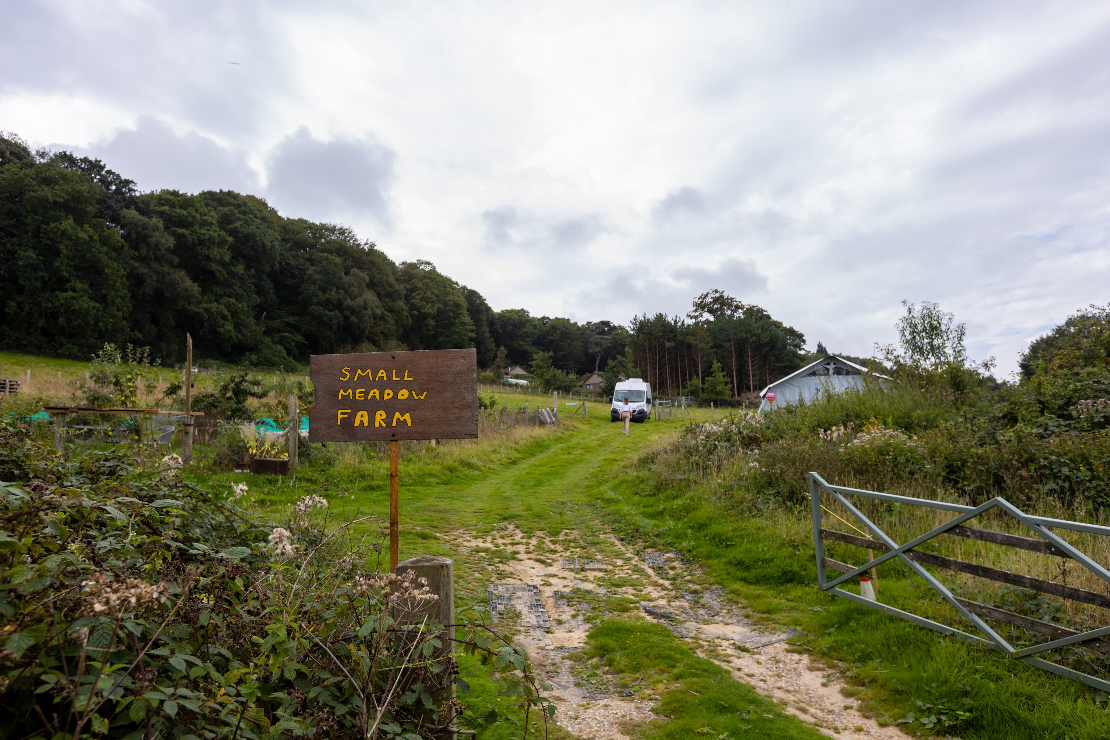 Small Meadow Campsite, Fairlight