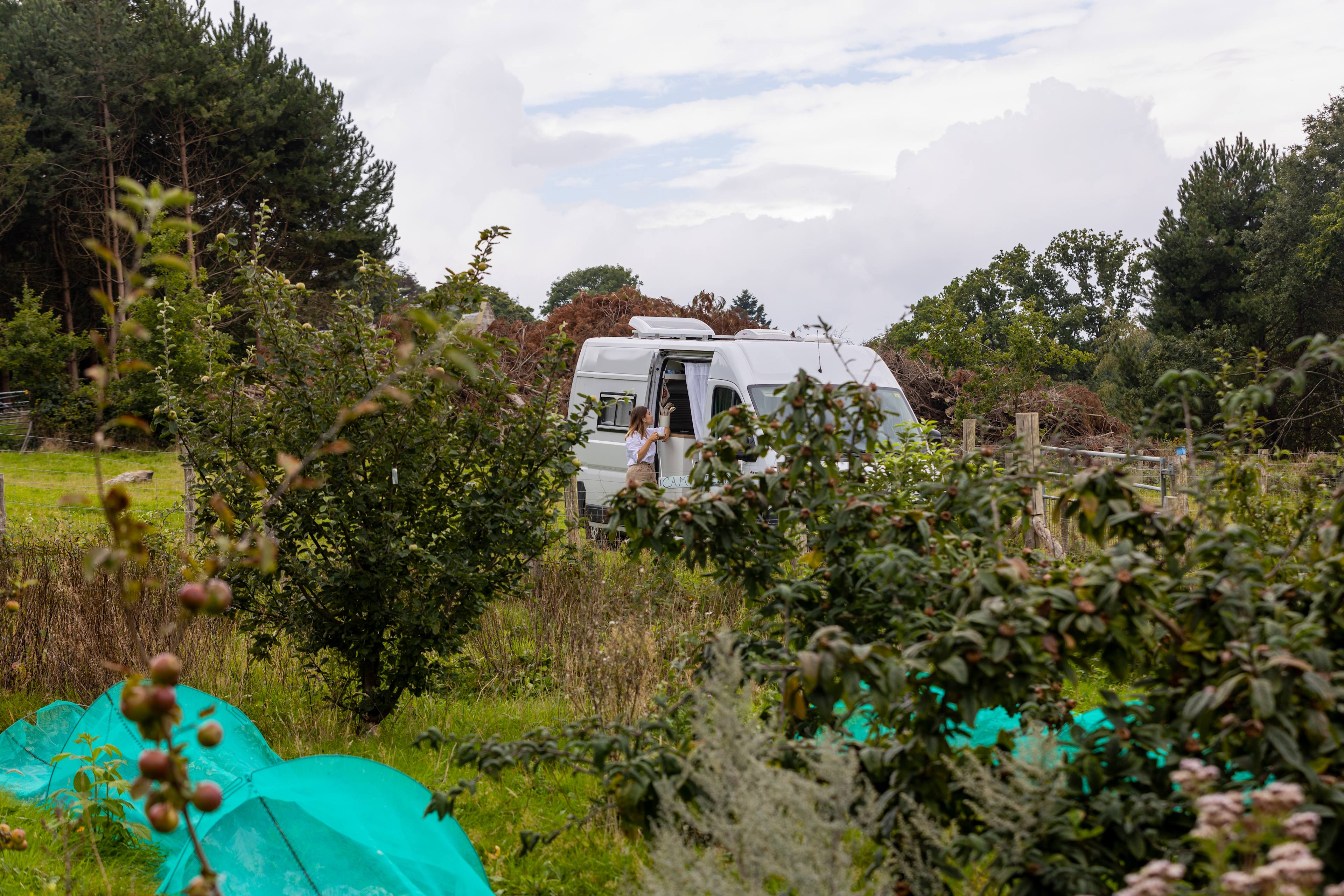 Small Meadow Campsite, Fairlight